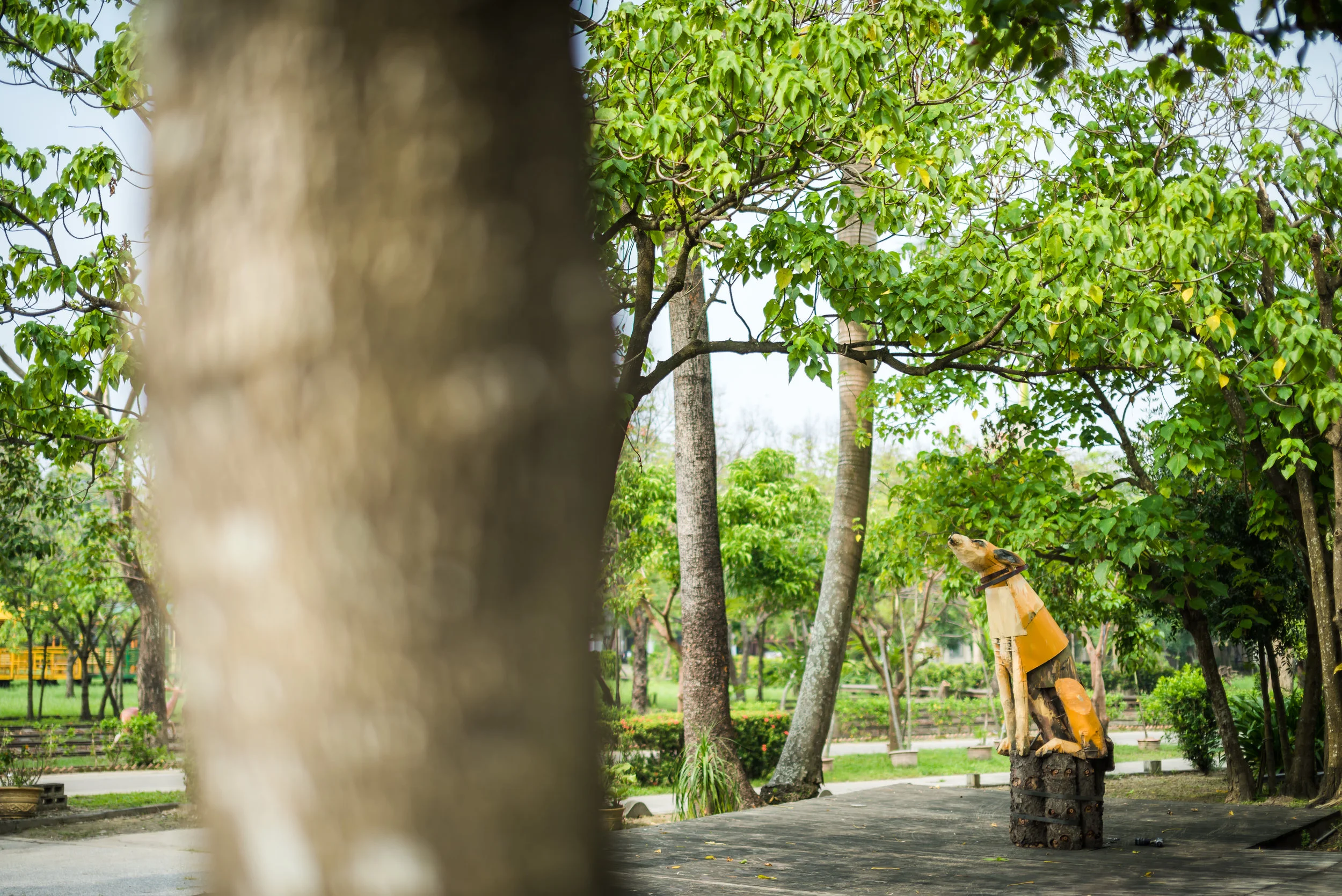  photo by Rich Matheson 