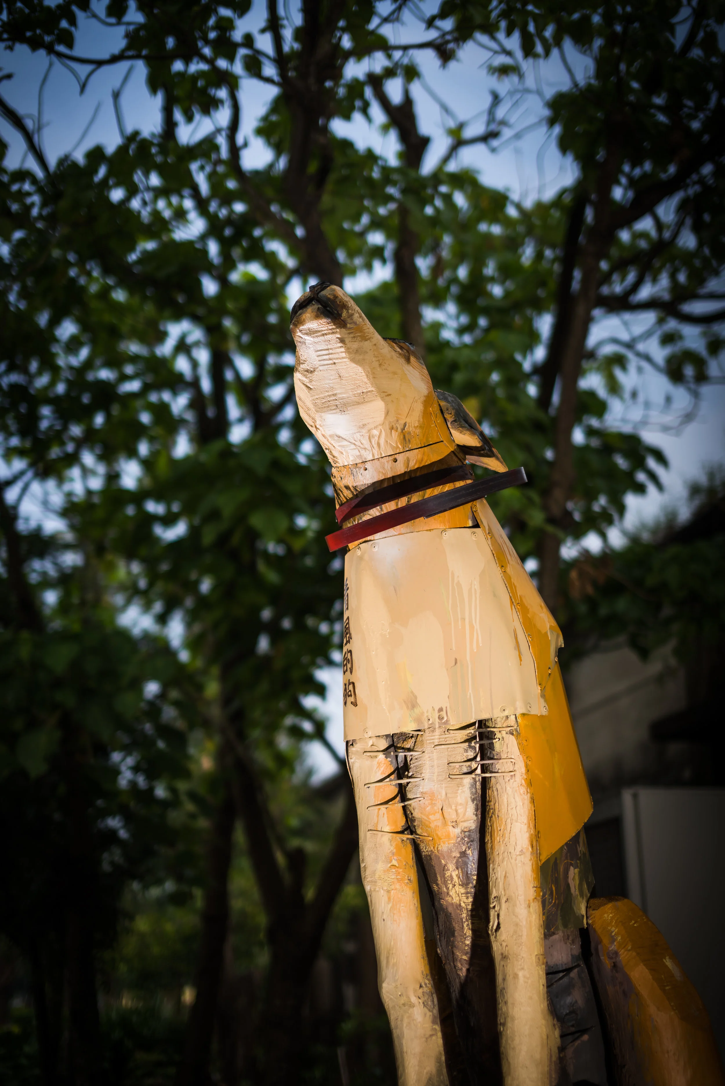  photo by Rich Matheson 