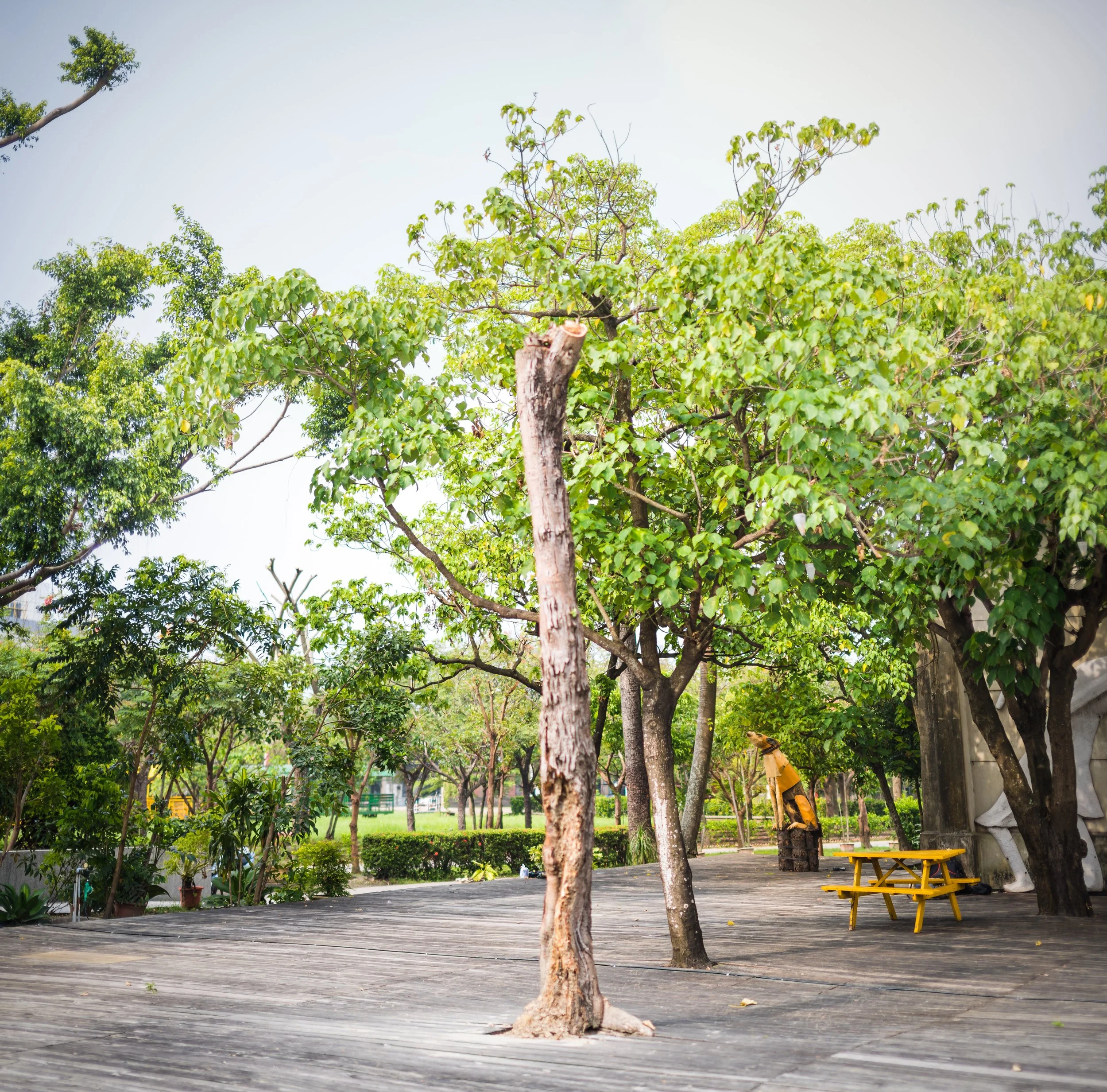  photo by Rich Matheson 