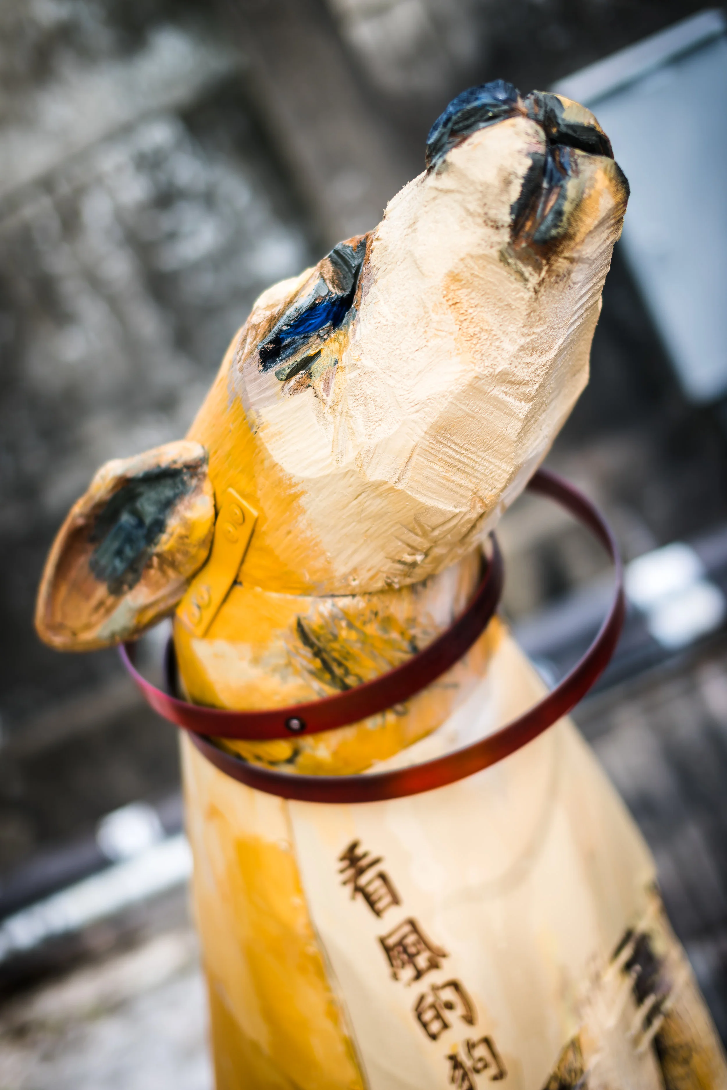   photo by Rich Matheson  