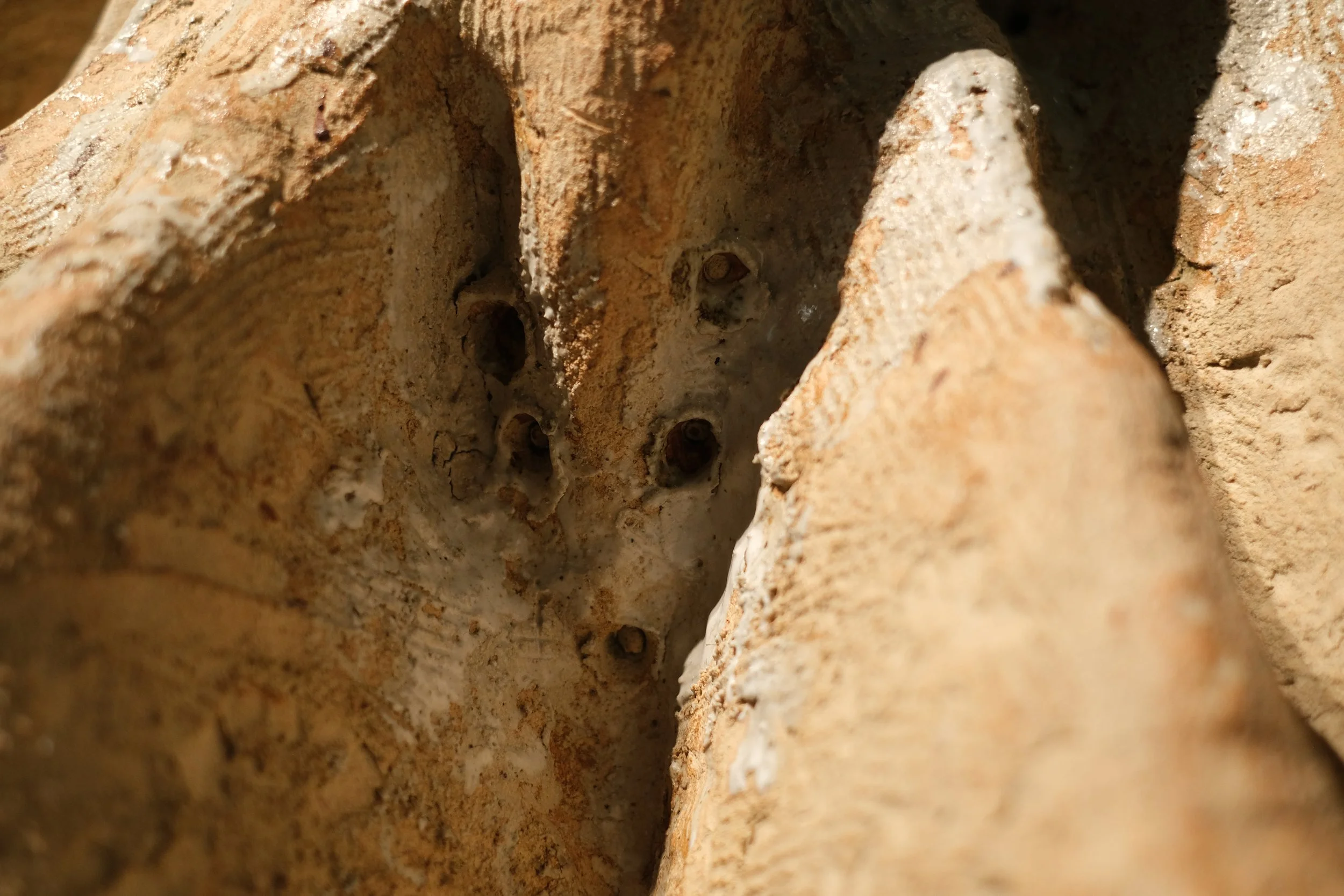  Photography｜Liang han yun  