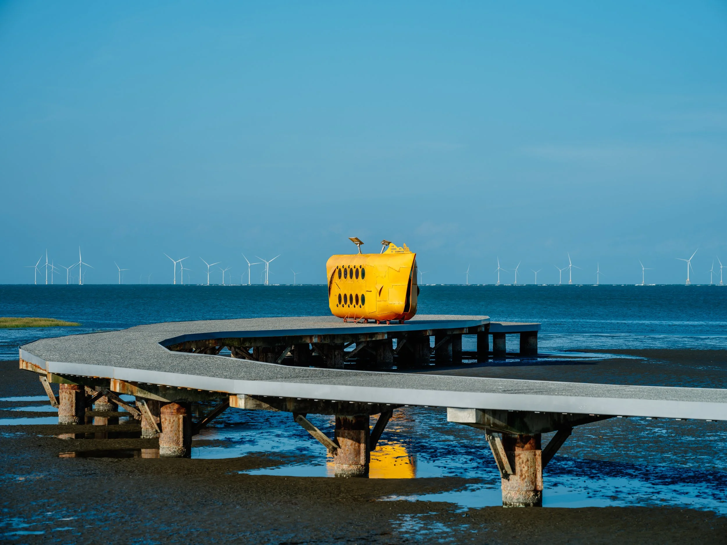 [ 2024香山濕地藝術季–海放時刻 ] 賞蟹步道，新竹