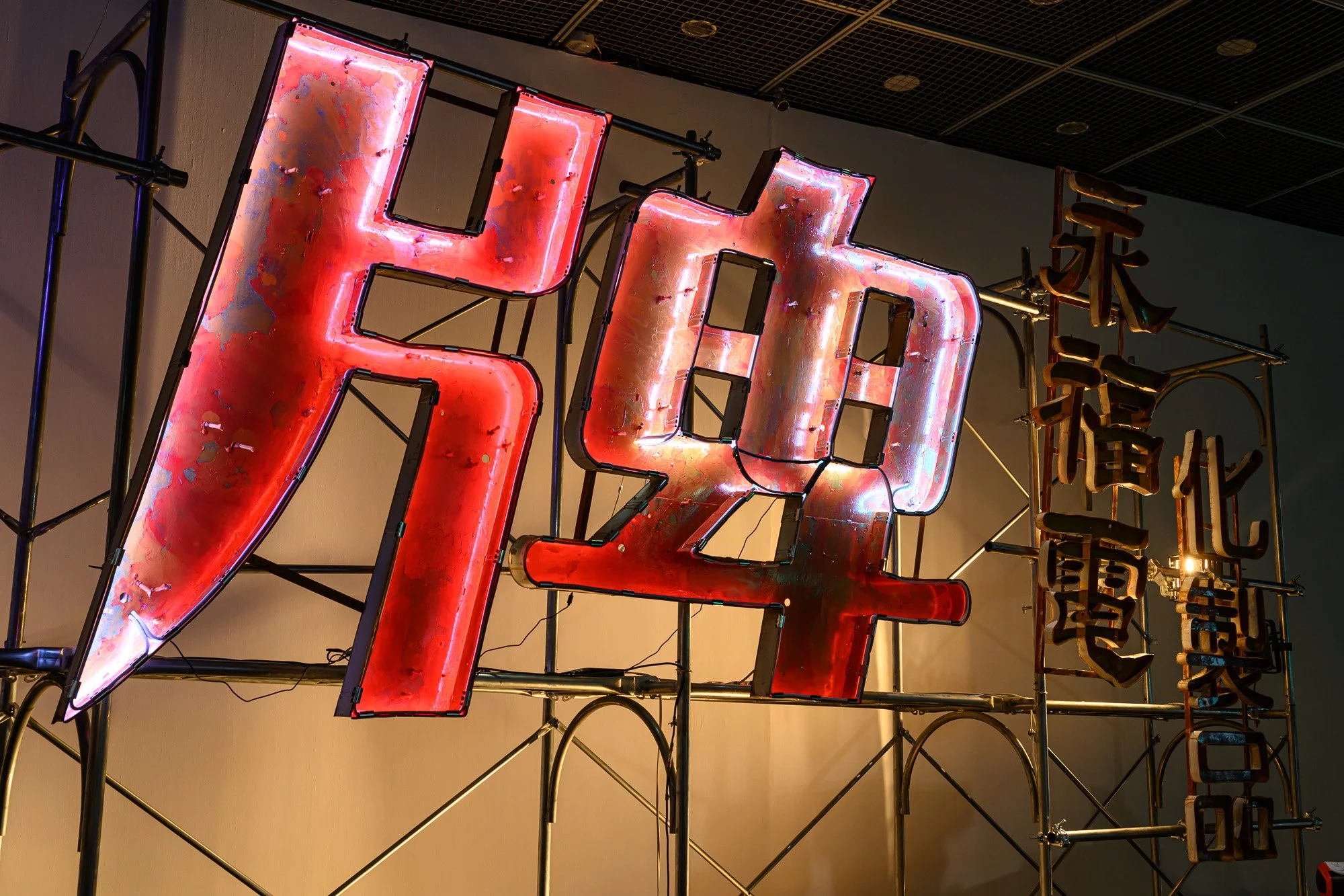 20230731_Signal Z_3890_Small.jpg