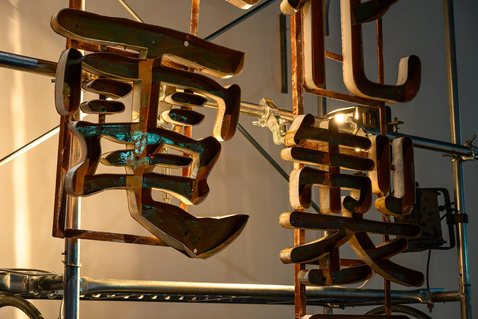 20230731_Signal Z_3854_Small.jpg