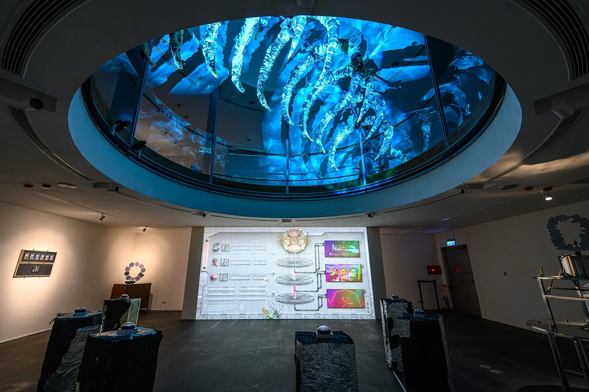  curating｜在地實驗 ET@T   Photography｜Anpis Wang   2024 Venue: Kuandu Museum 