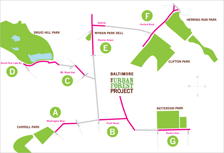 UrbanForestProject_3.jpg