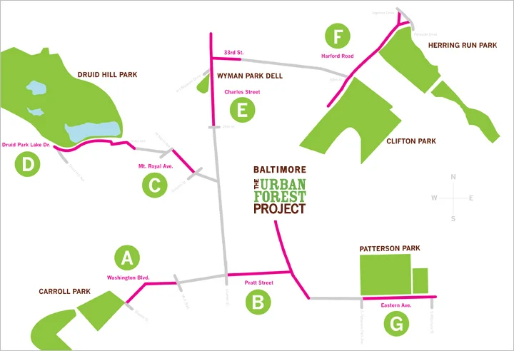 UrbanForestProject_2.jpg