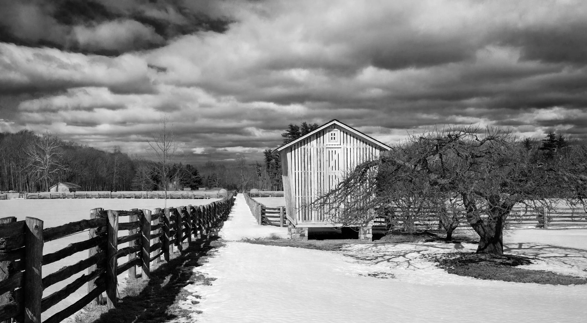 Michael-Biondo-Photography-6.jpg