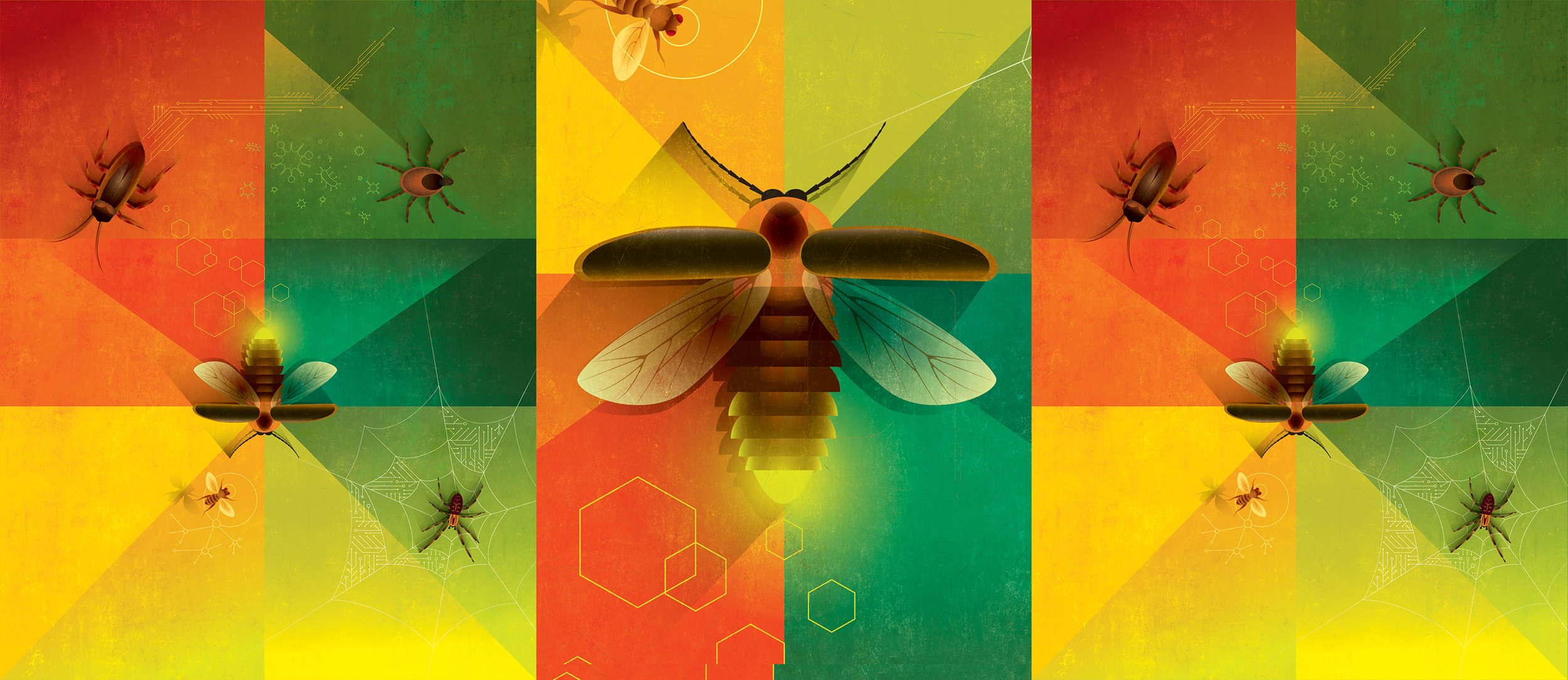 Johns Hopkins Bug Cover.jpg