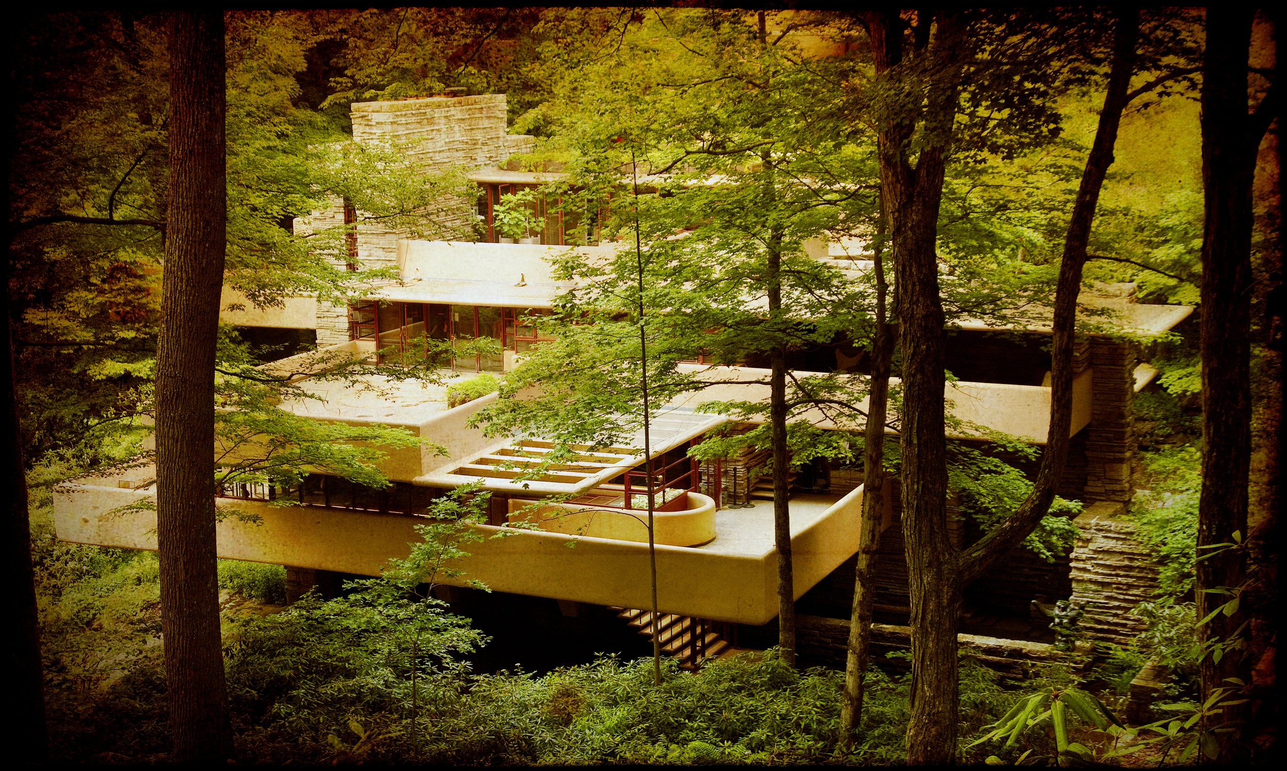 5 Fallingwater_5.jpg