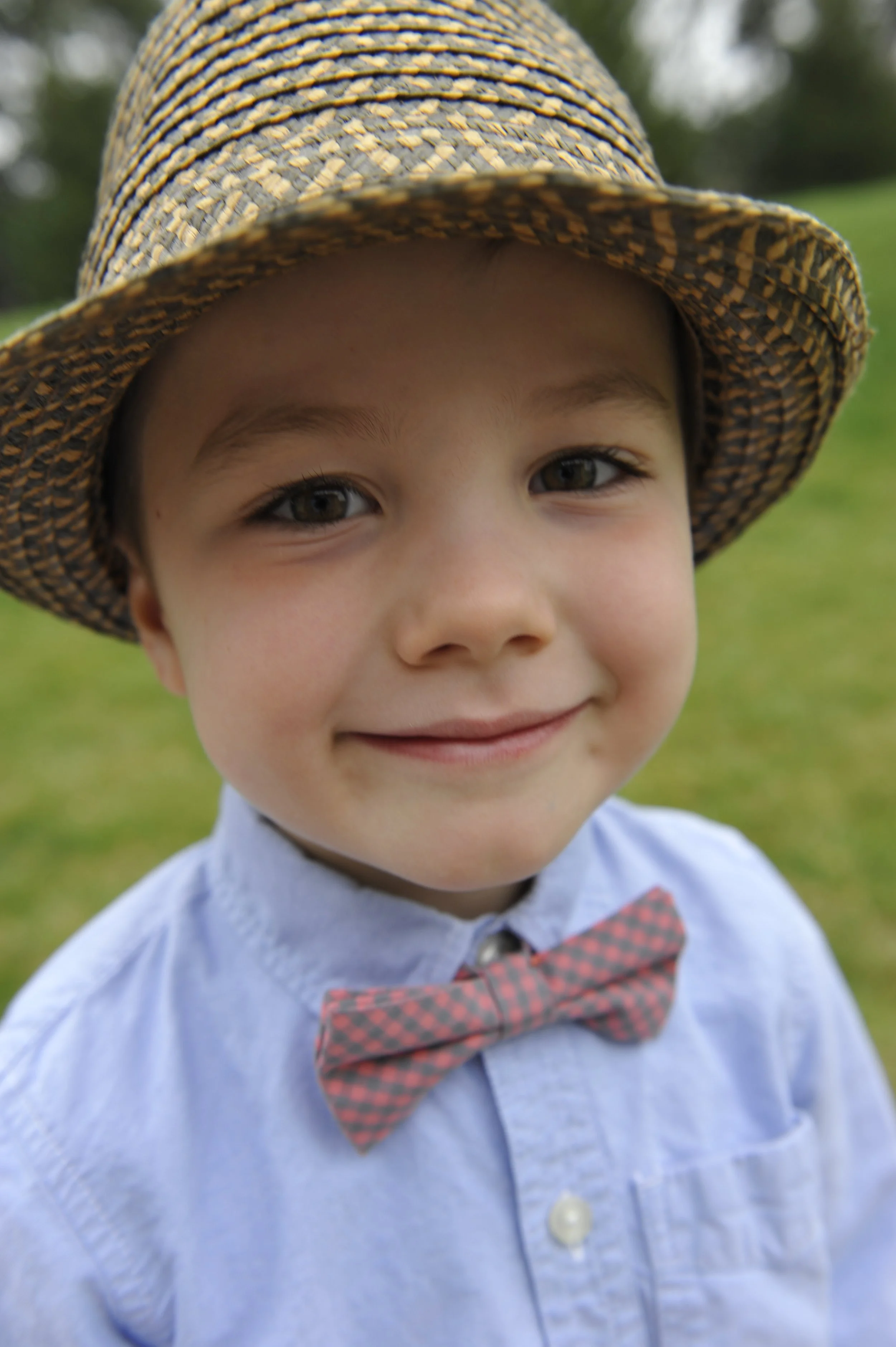 Portrait of a Young Man