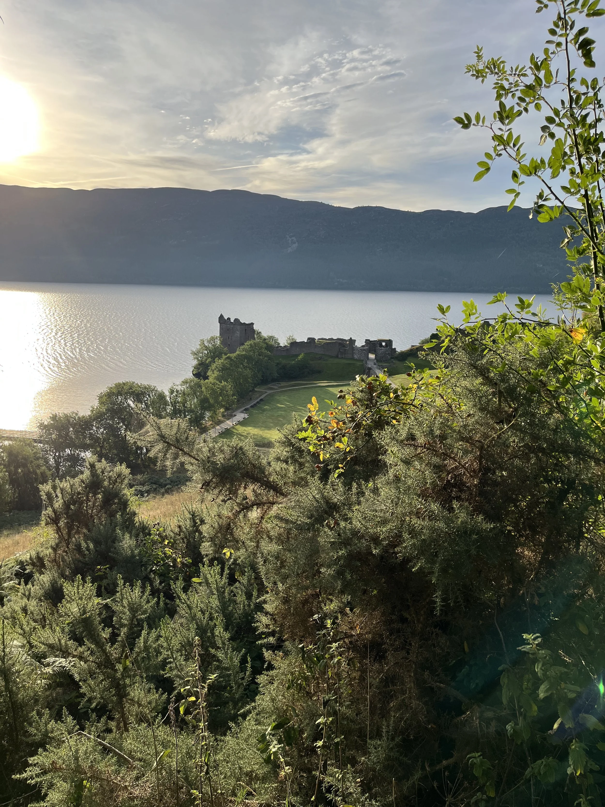 2022-09-11 03.06.38.jpg