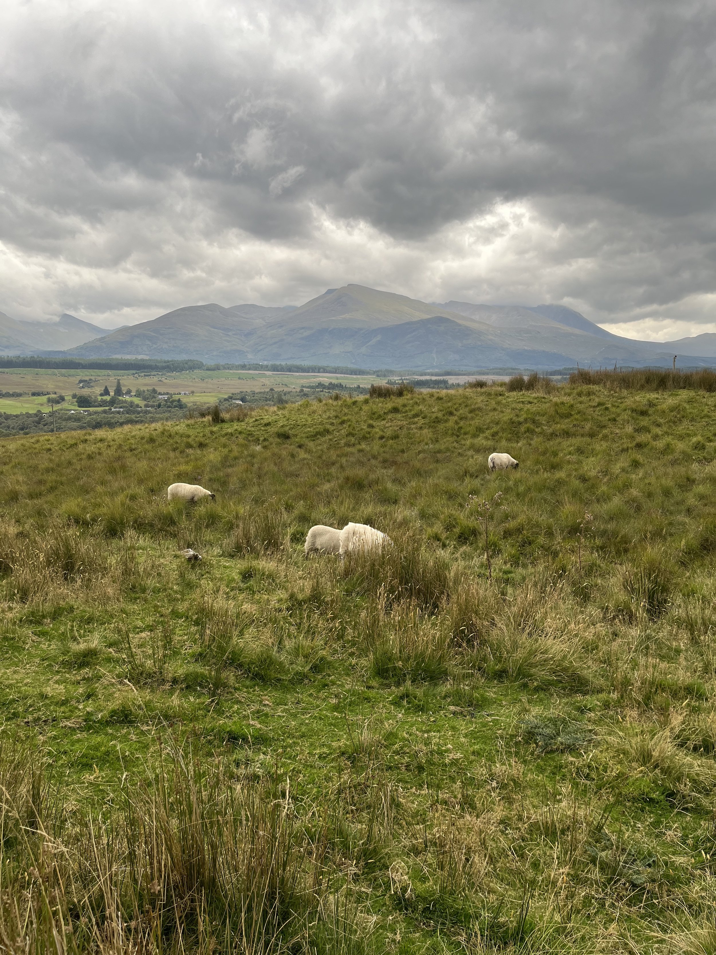 2022-09-11 11.40.47.jpg