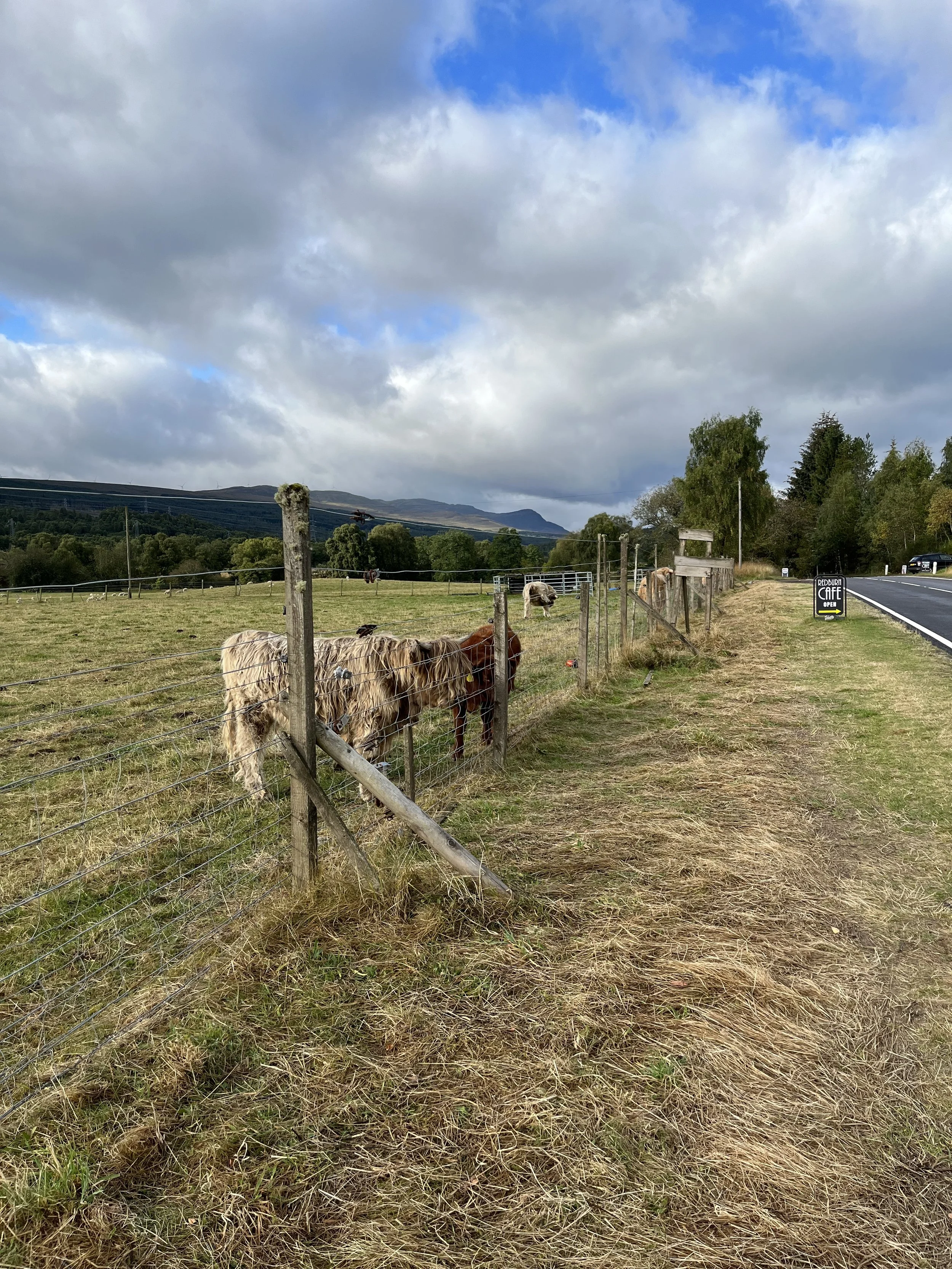 2022-09-12 04.41.22.jpg