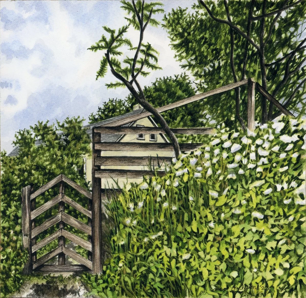 Through the Garden Gate