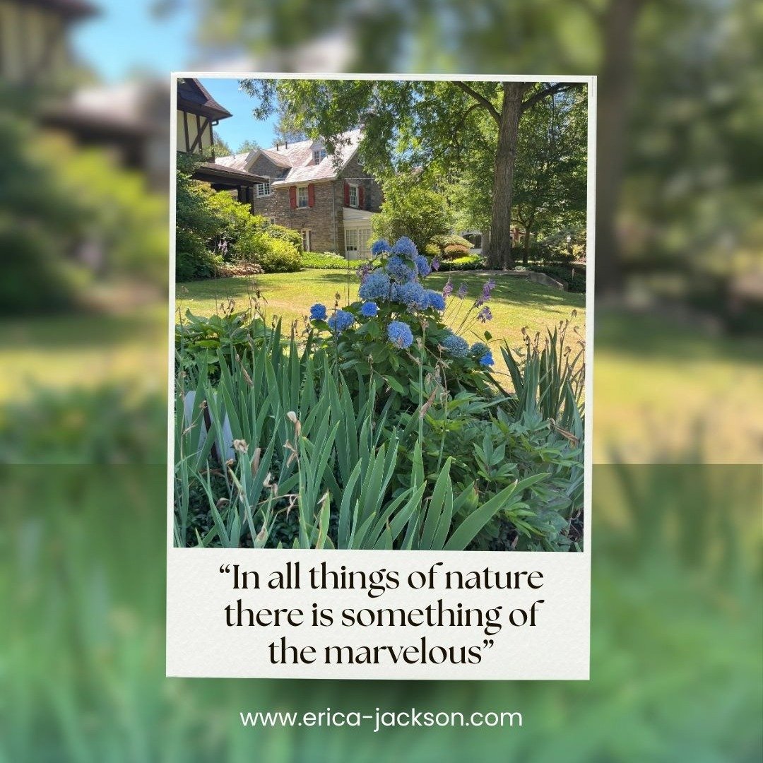 In the last two series I worked on nature was a huge inspiration to me. I wanted to share some of the scenes that inspired my current series. This is one I took when I lived in East Falls. I loved the beautiful old homes surrounded by trees, lush gre