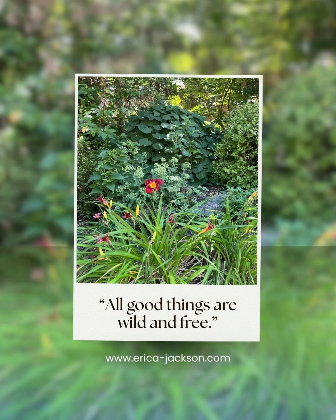 This quote from Henry David Thoreau resonated with me when I was thinking about the collection I am currently working on. My main inspiration with this series has been the natural landscape within Philadelphia, and I have loved exploring all of the b