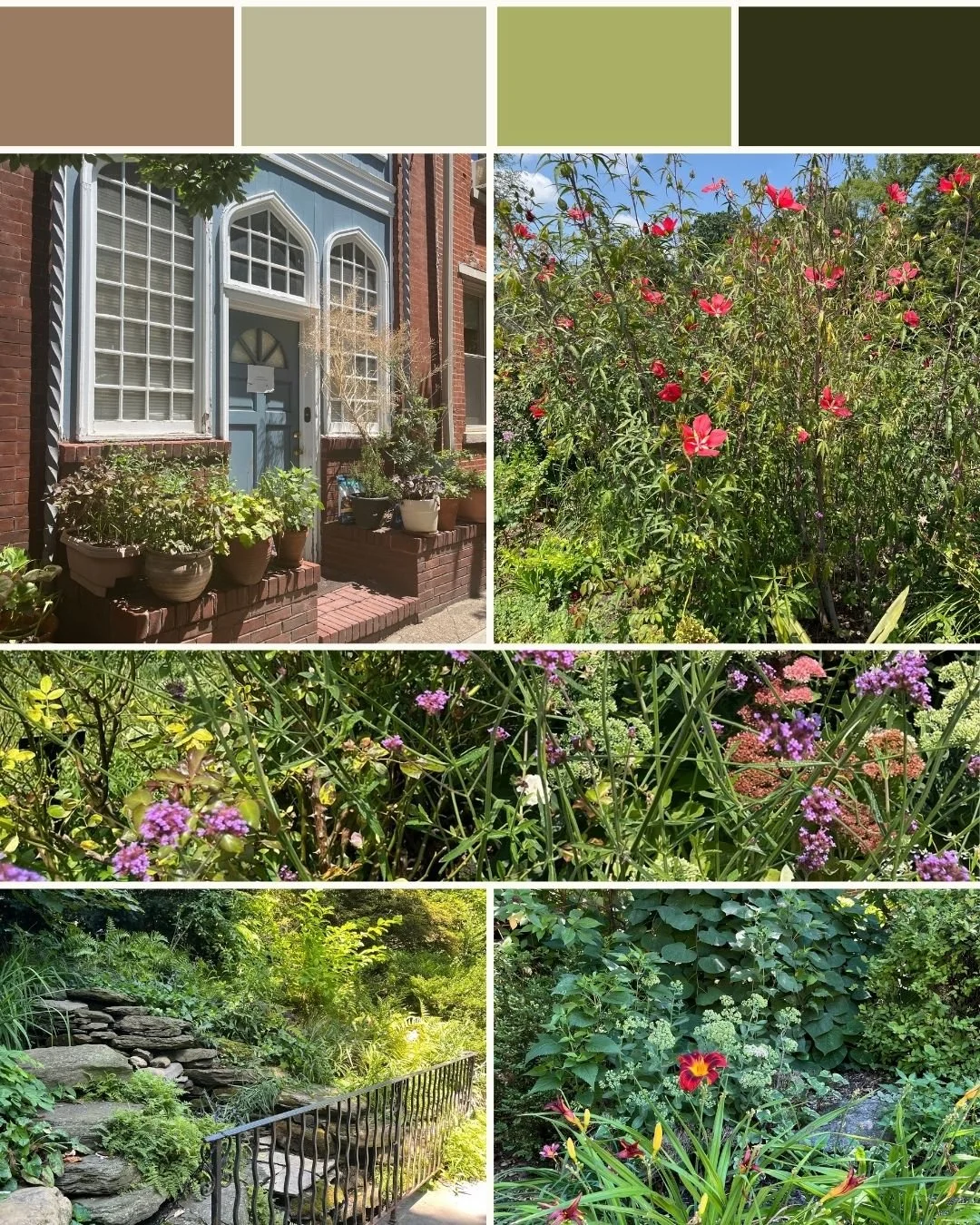Here are some images that inspired my latest series, and some of the colors that feature prominently in many of the pieces. Green has become one of my favorite colors to paint. There are so many different shades and tones, and I love how it can go fr