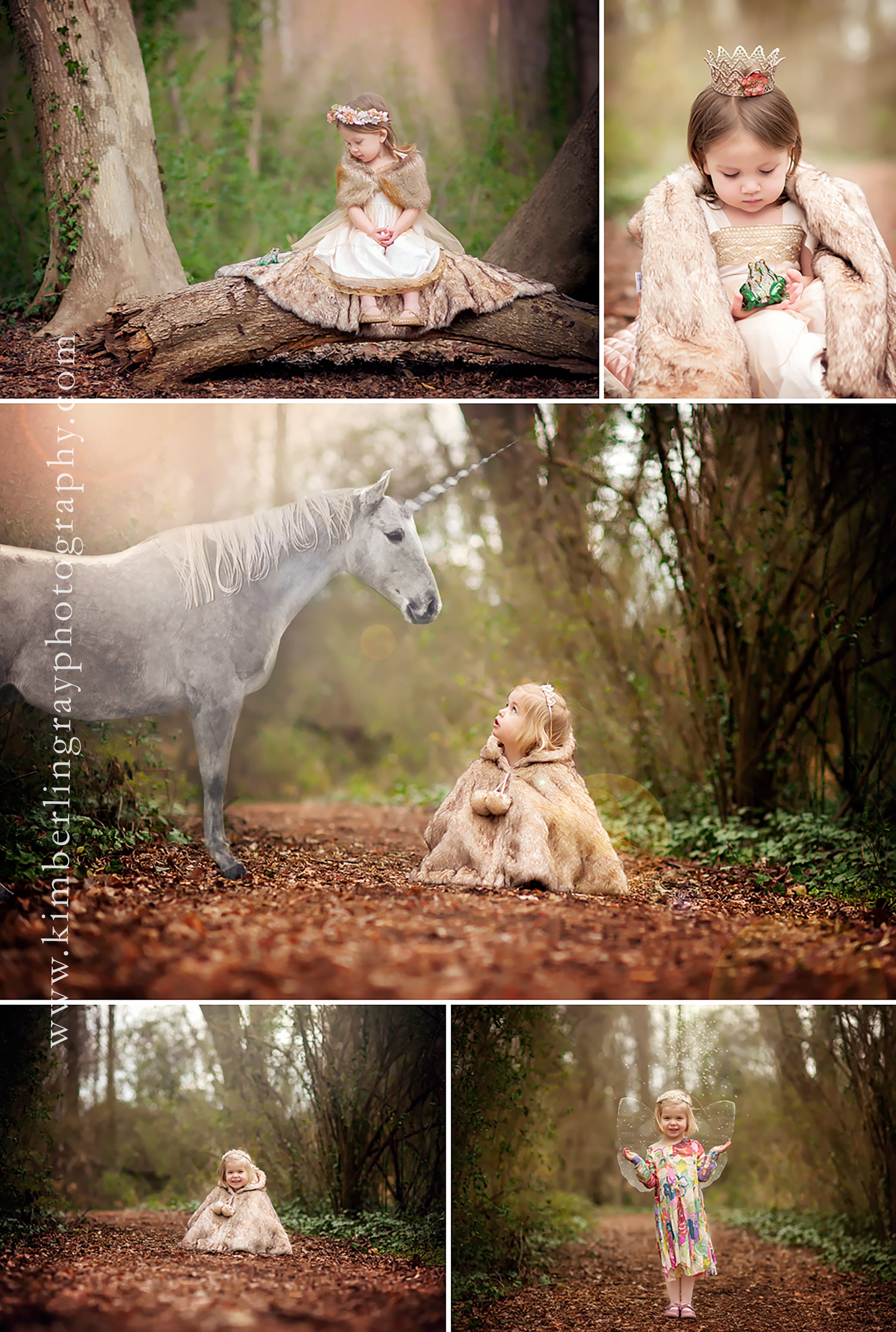 Fairy Tale Creative Minisessions | Artistry