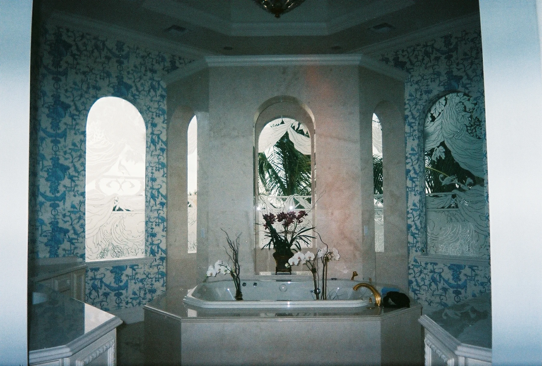 Bathroom Shower and Exterior Windows Etched unique glass art jupiter.jpg