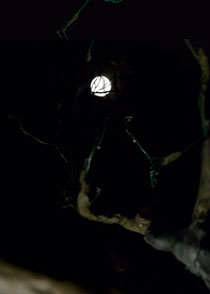Moon-II-Image-4.jpg