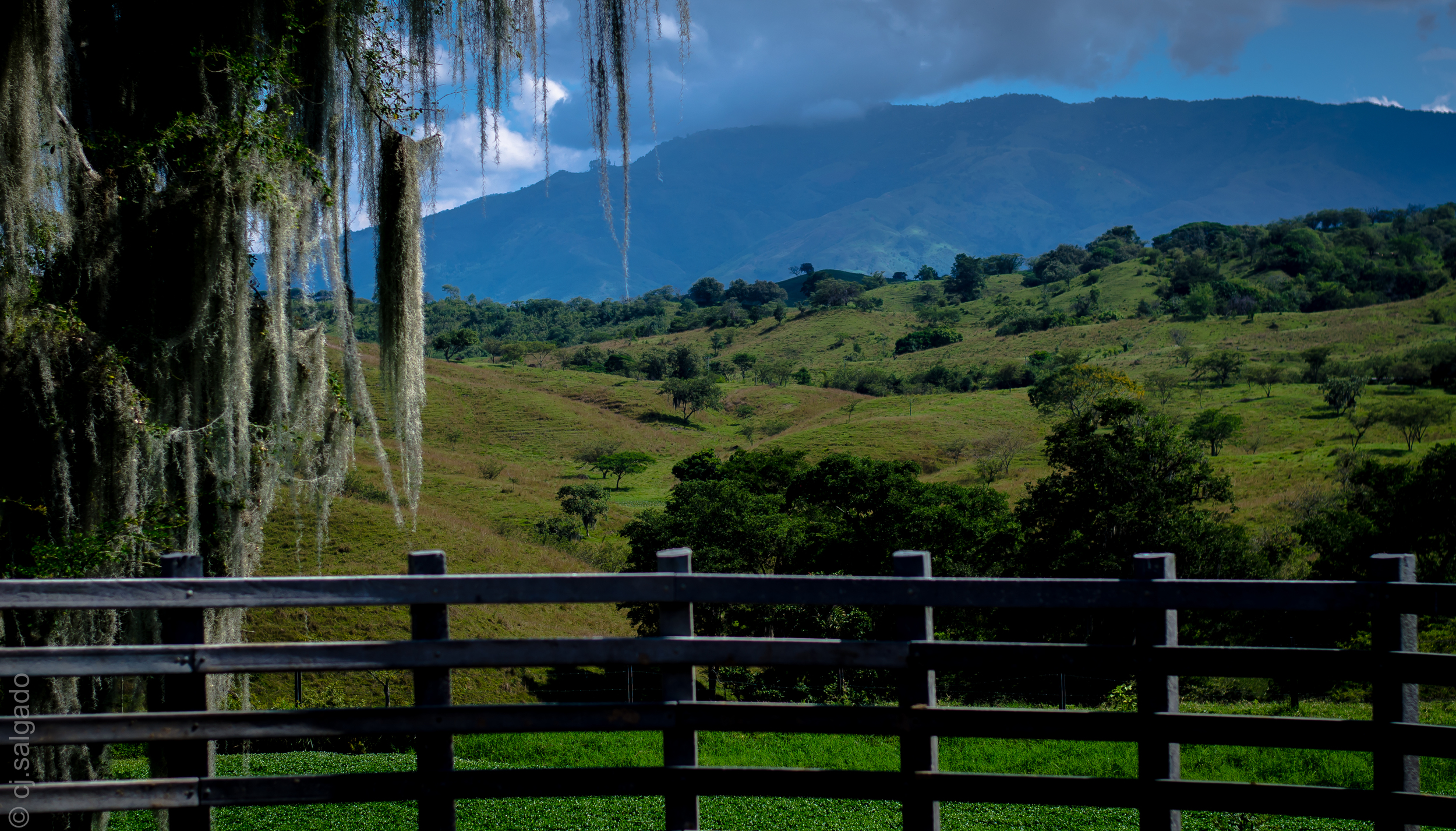  Bugalagrande- Valle del Cauca- Colombia. 