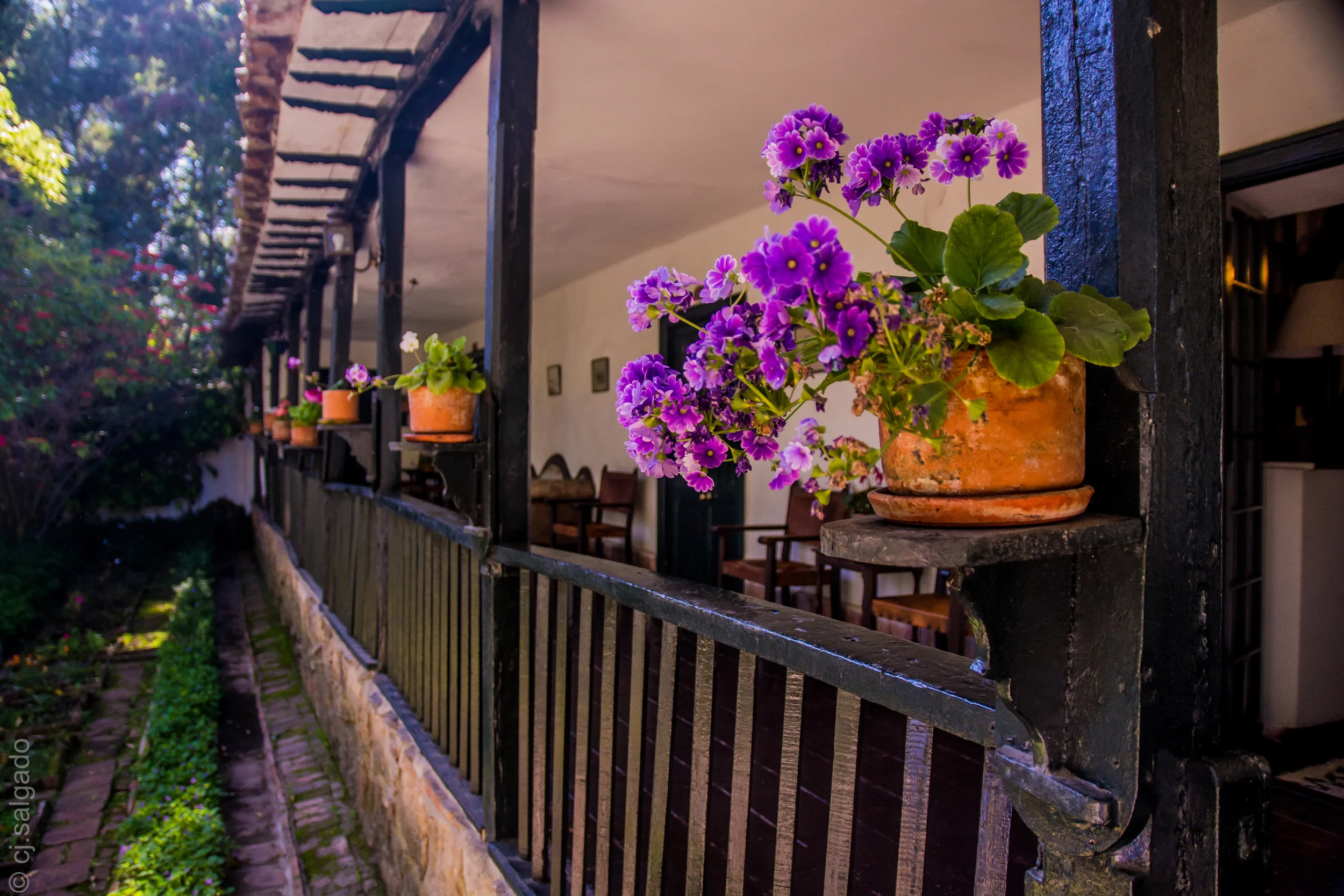 Hacienda Suescun - Tibasosa - Boyaca- Colombia