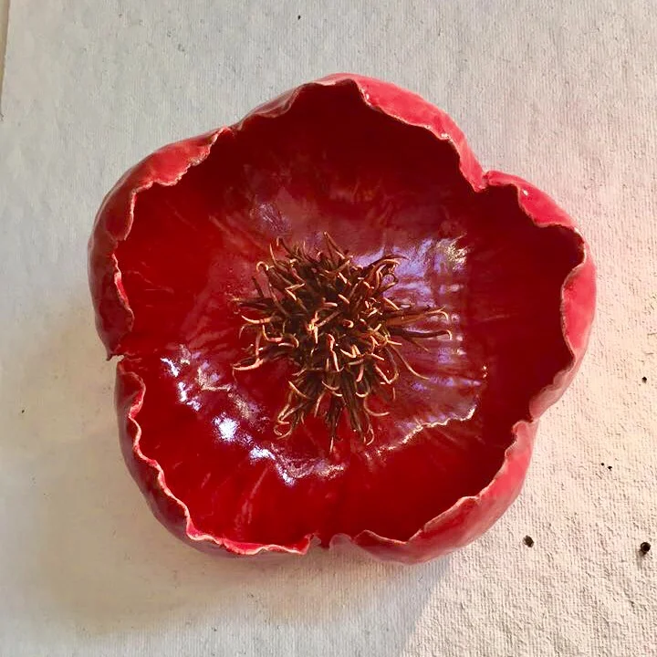 poppyWallflower.jpg