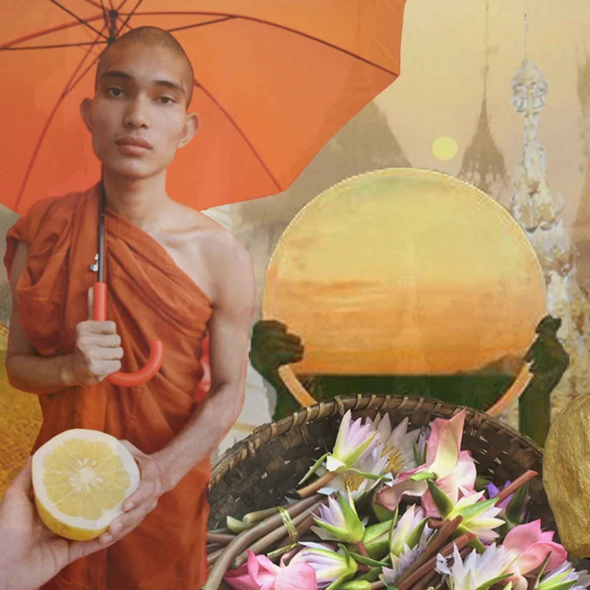 collage1.jpg