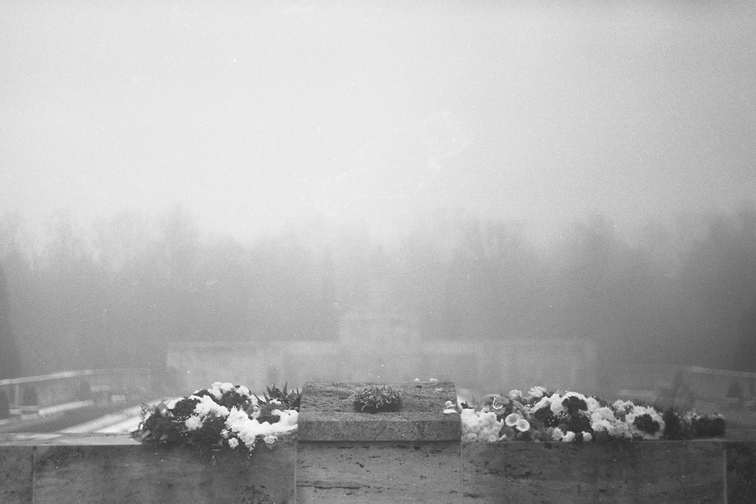 Photo07.jpg