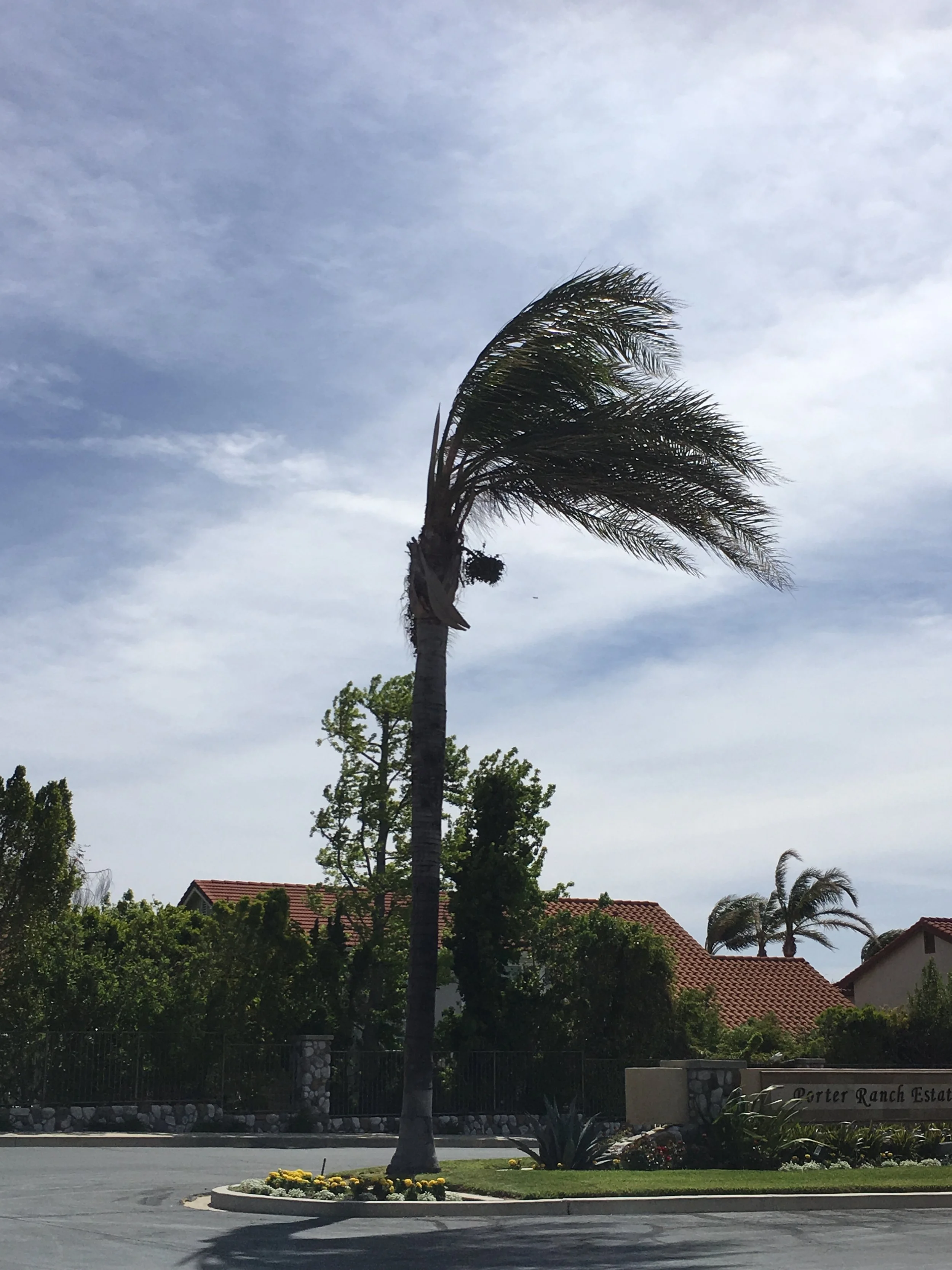 Windy ride conditions in Porter Ranch.