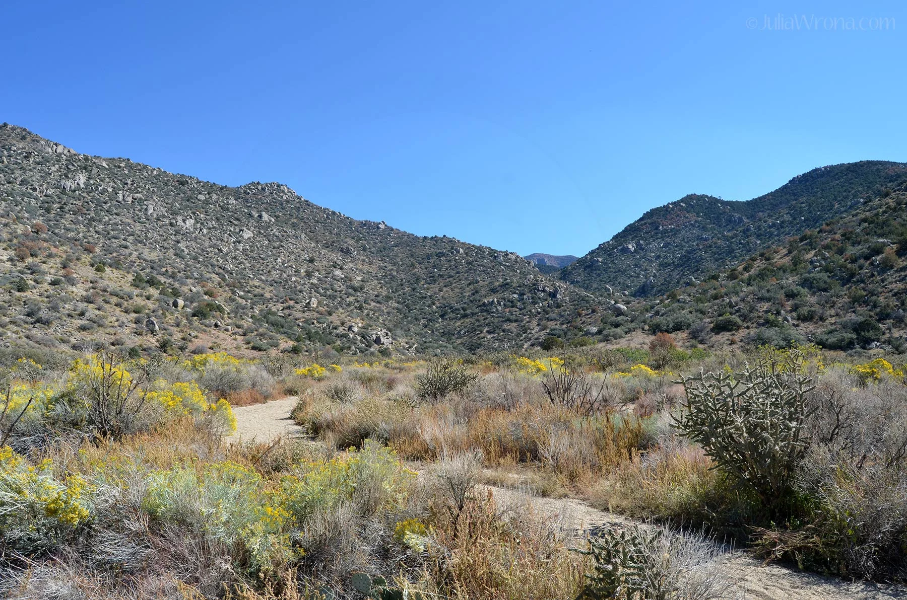 Sandia foothills.