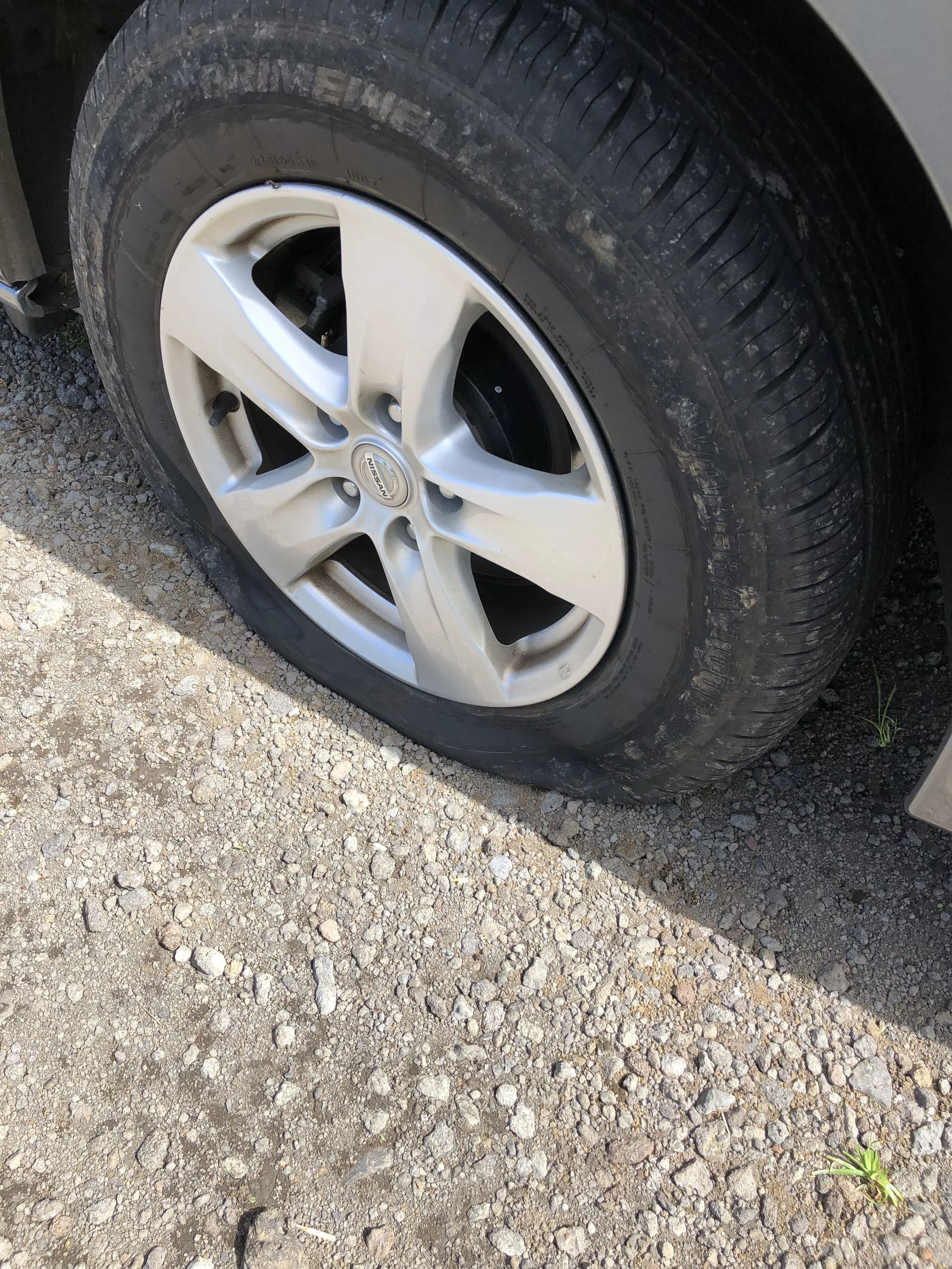 Rear, driver’s side tire.
