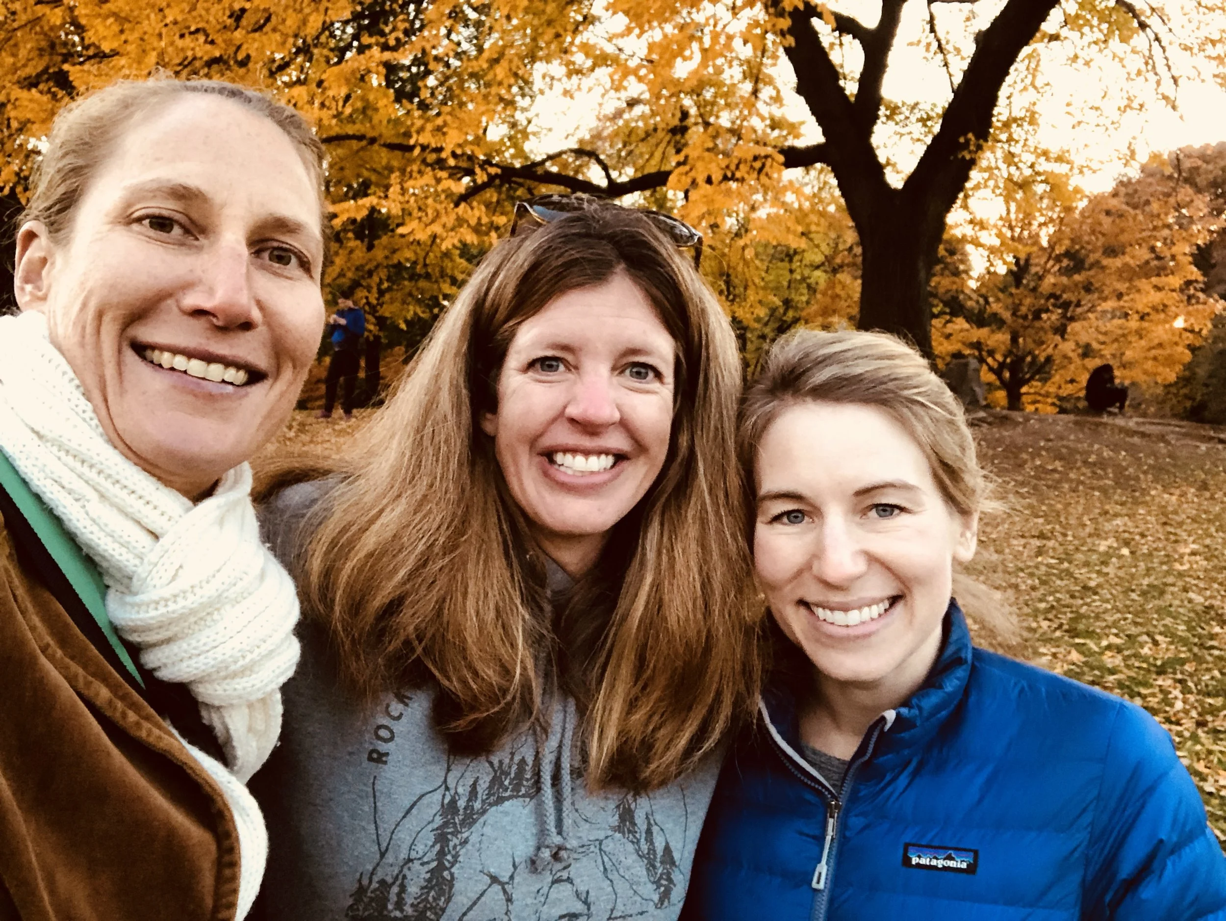 Beautiful fall day in Prospect Park.