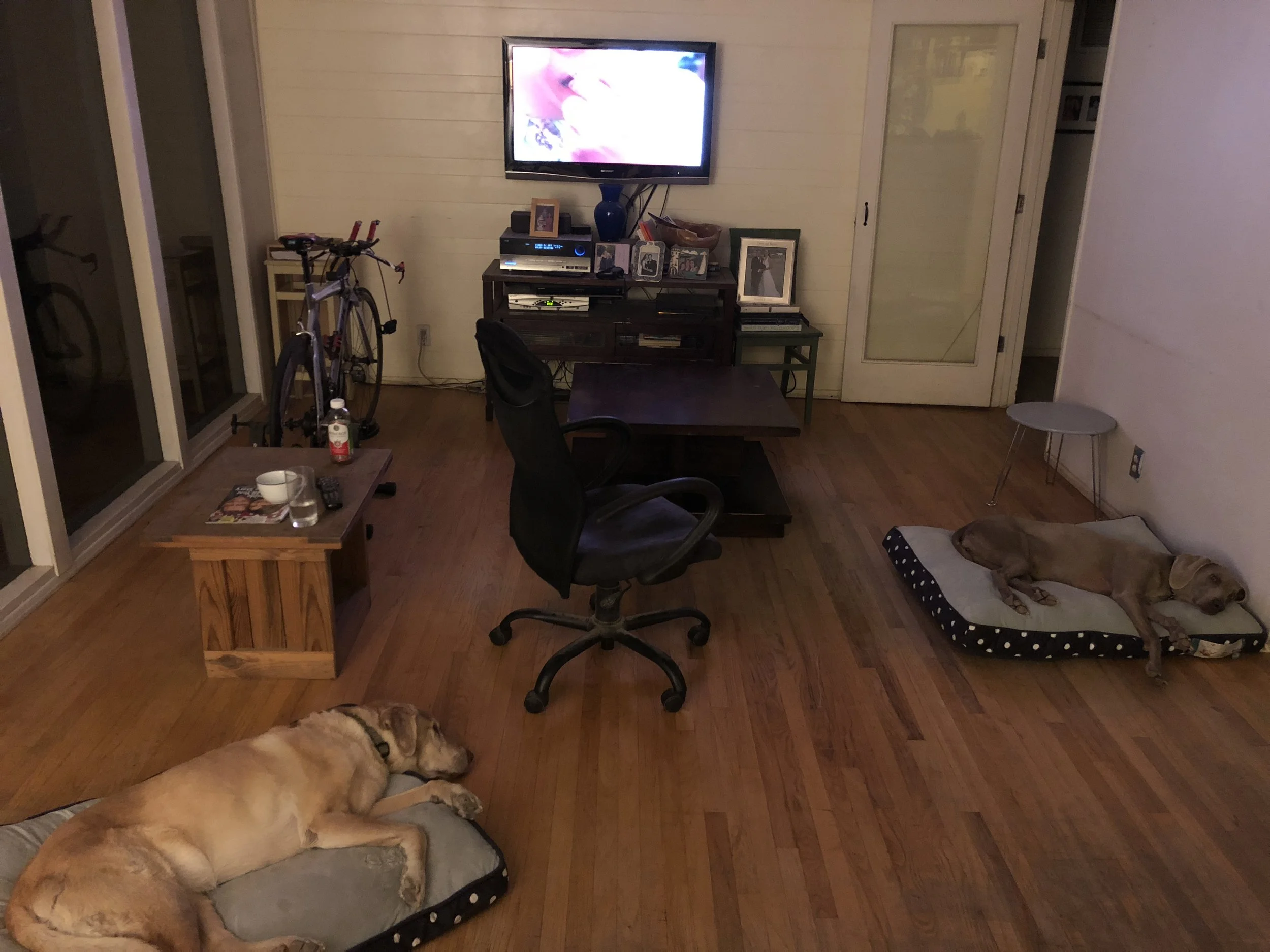 I will buy some furniture before Marion comes home, but in the meantime, this is all I need.