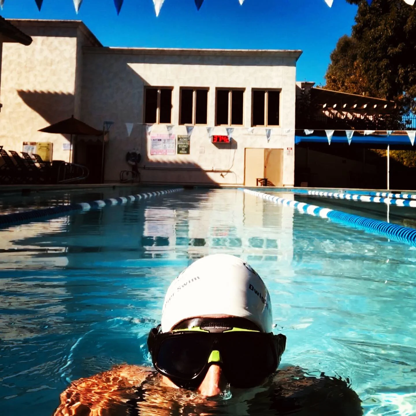 Post track work out recovery swim last Thursday.