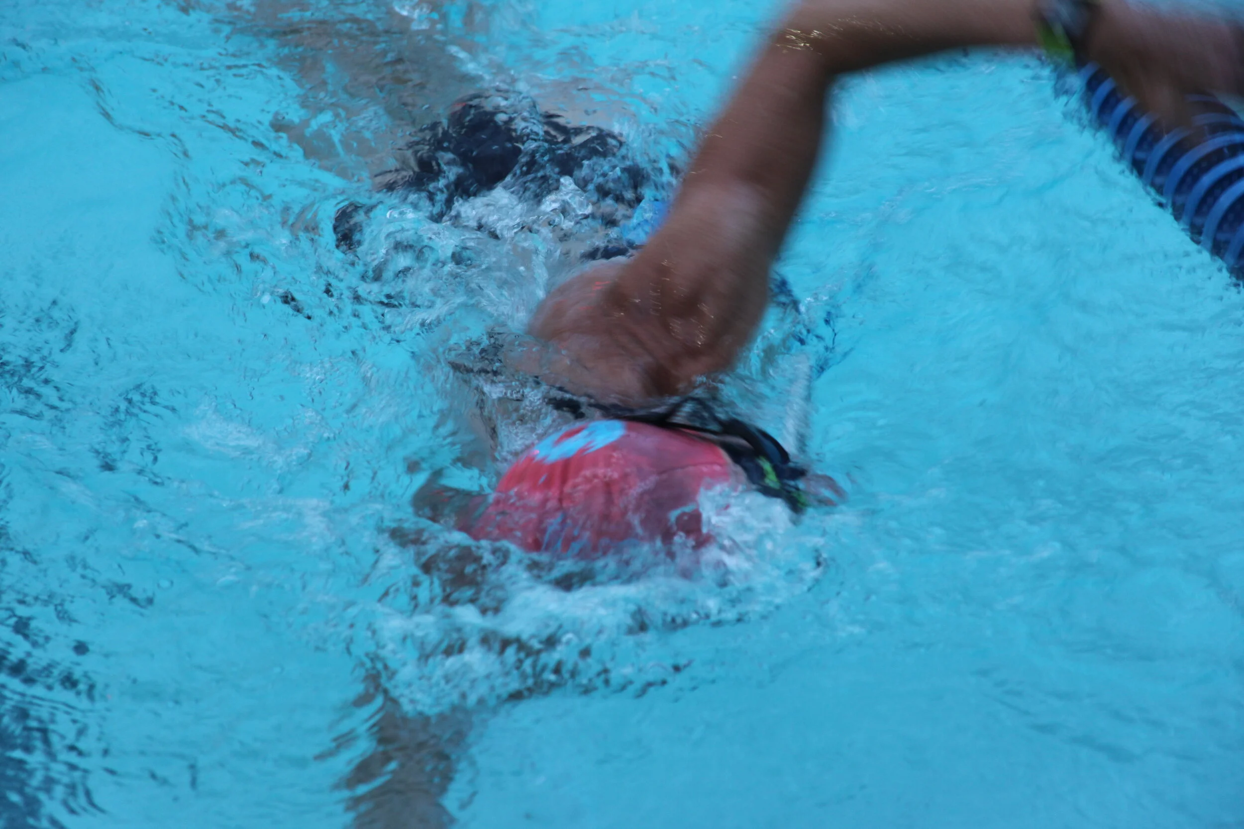Swim_2.JPG