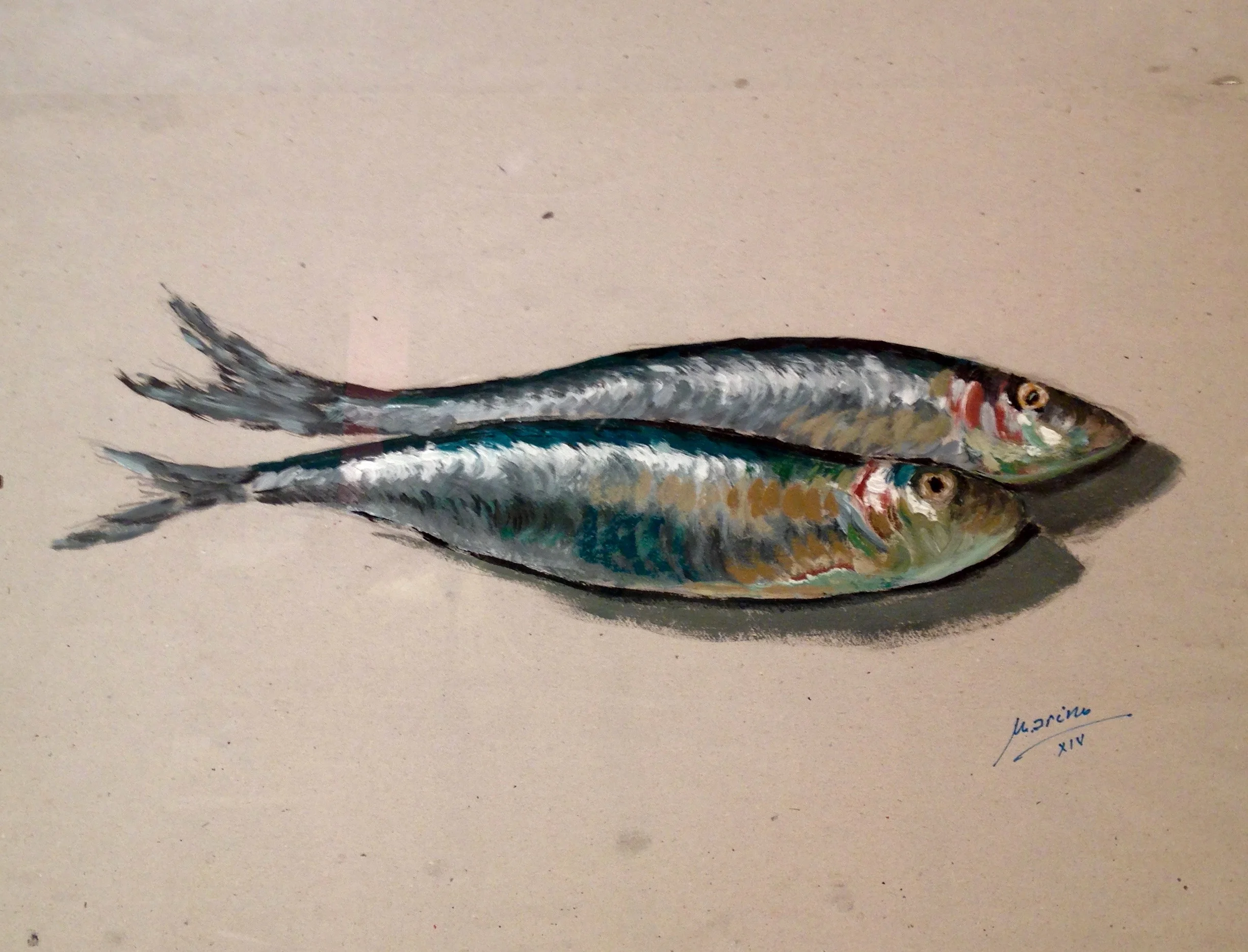 45 Sardinas.jpg