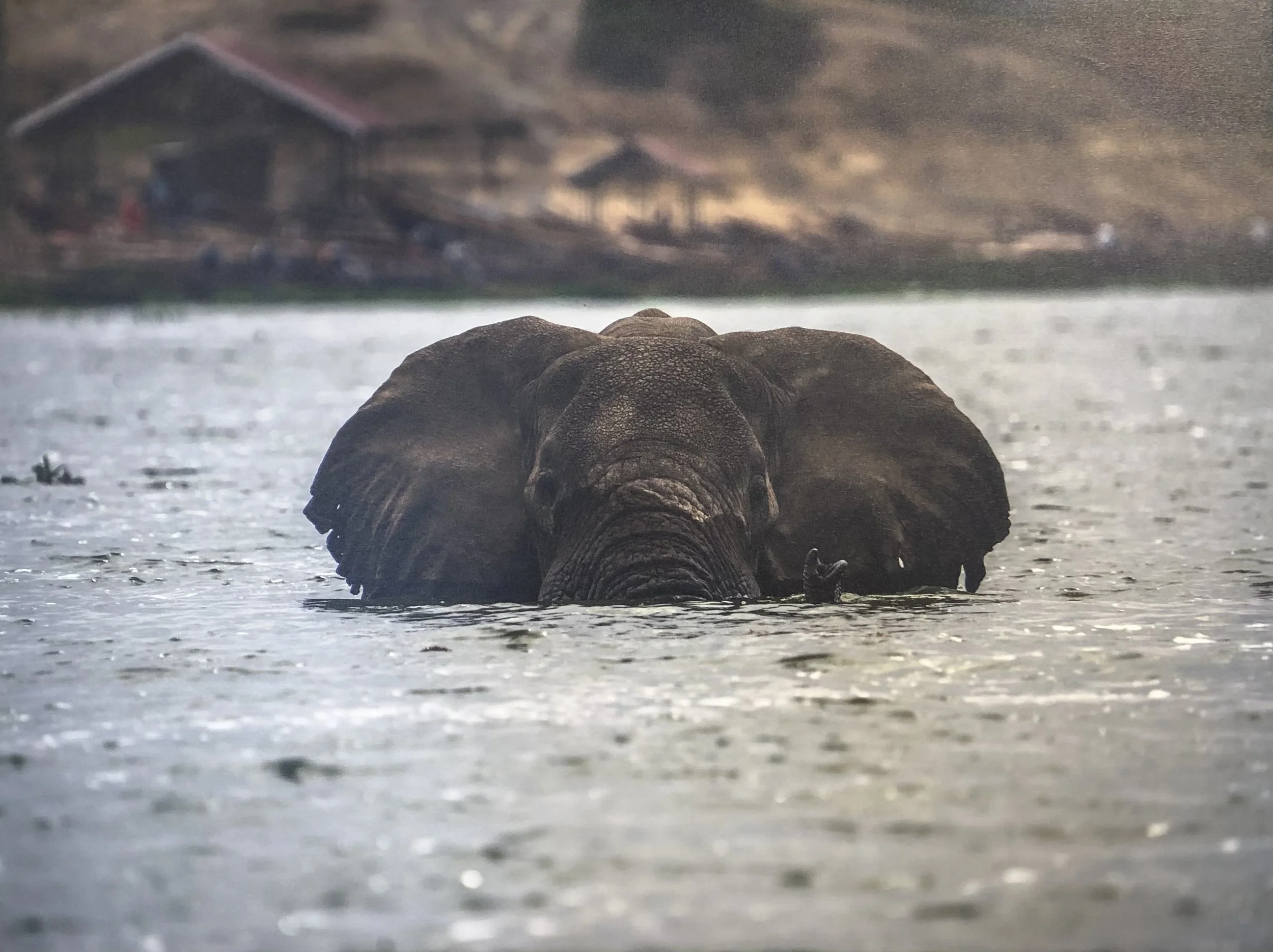 Are You Aware? Photography Exhibition by Faraji Starks