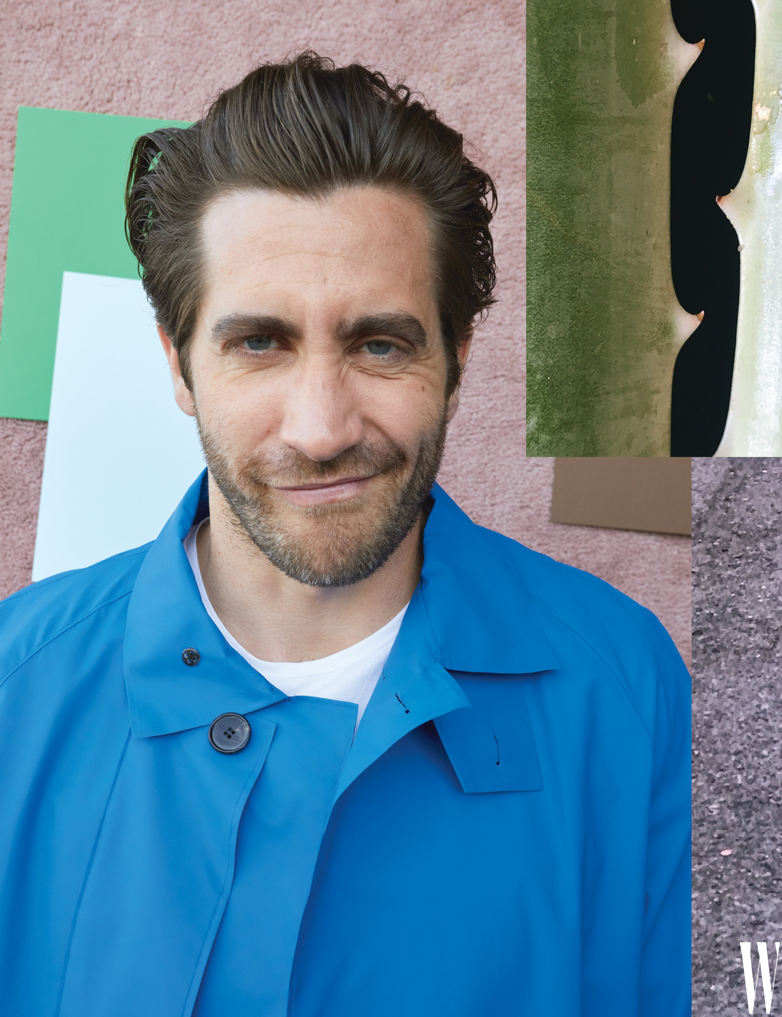 Jake Gyllenhaal for W Magazine Vol. 1 Best Performances