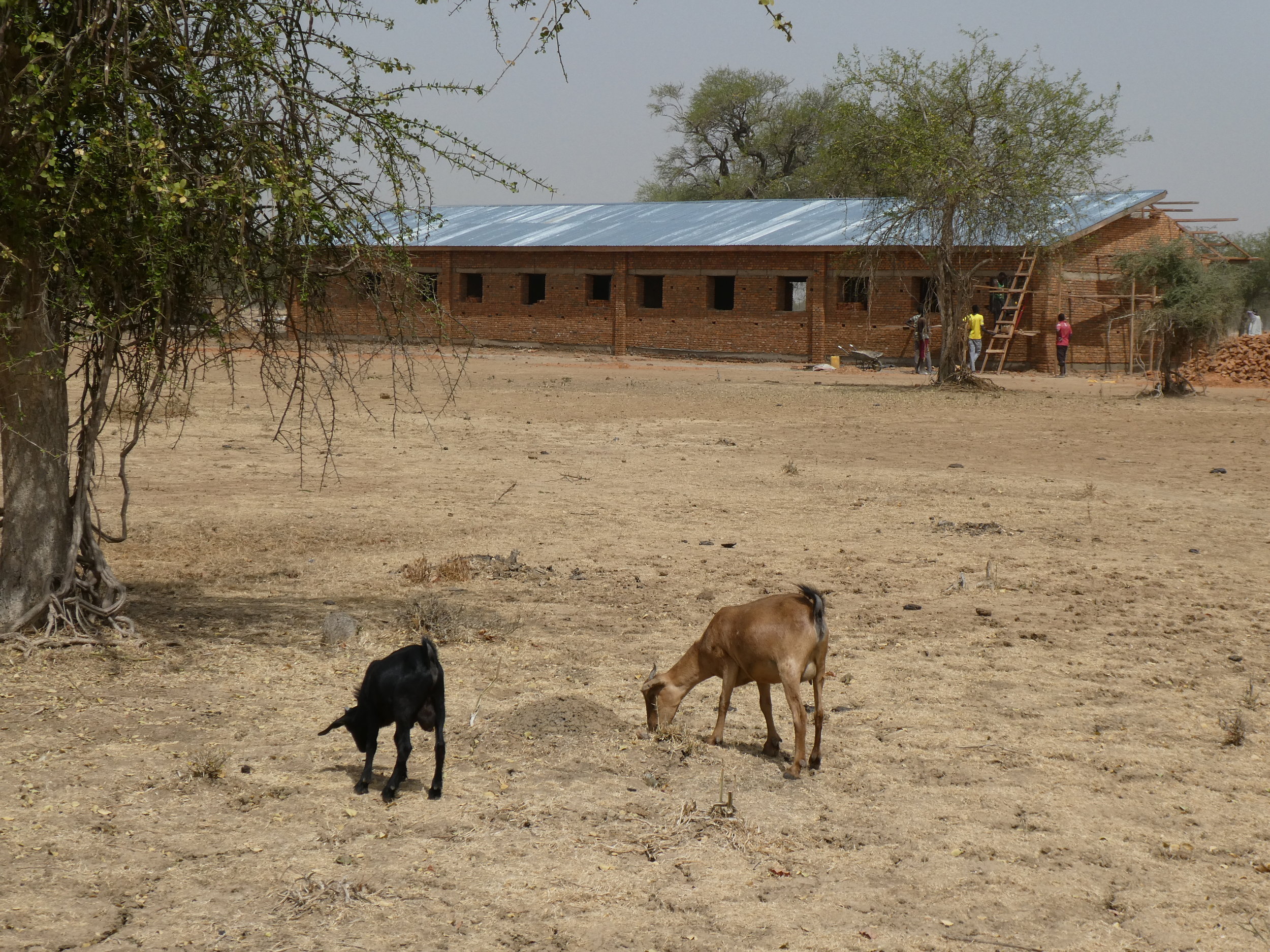 Future home of Bill Cook Secondary School in South Sudan 