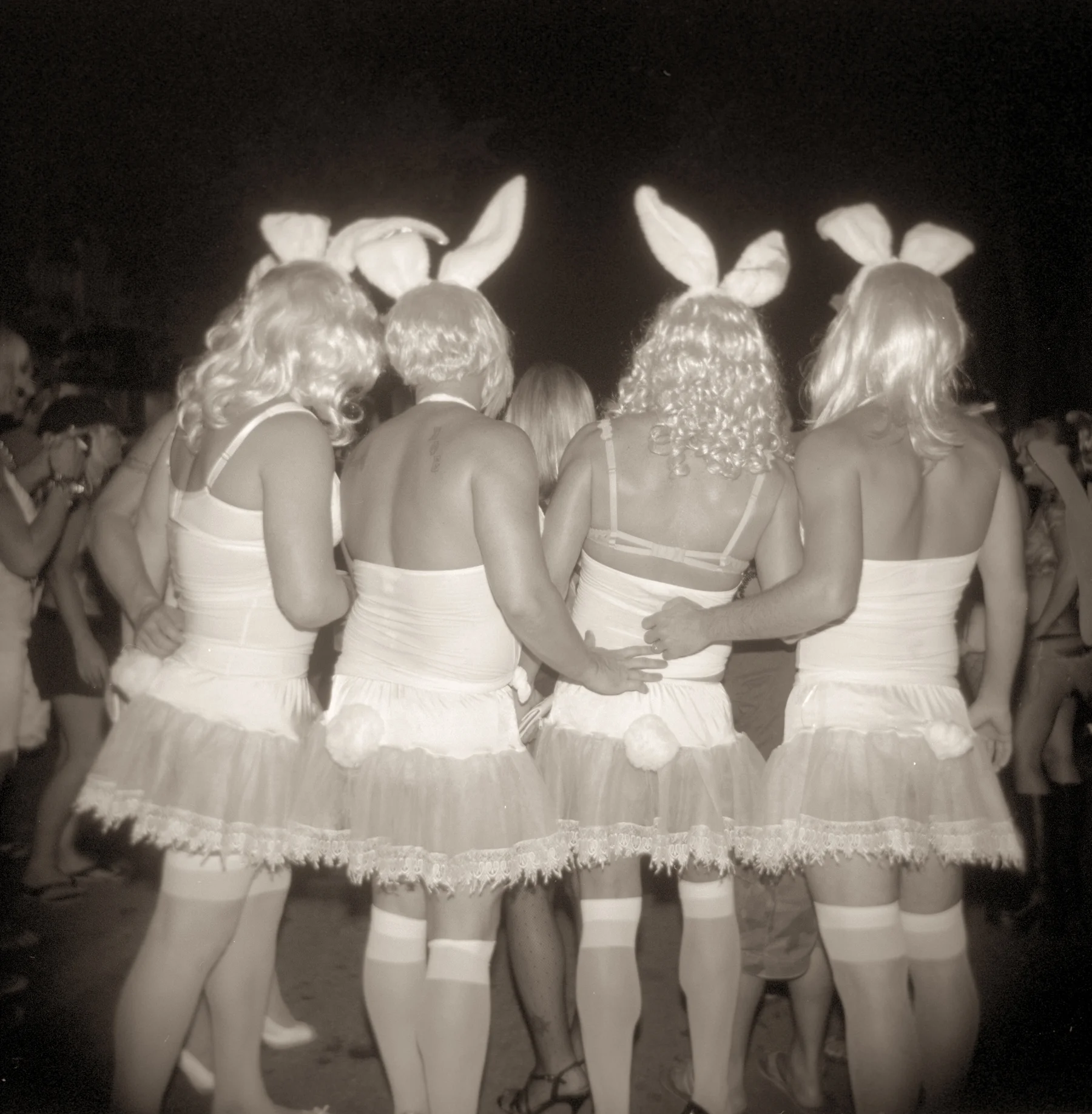 Copy of GORDON STETTINIUS, BUNNIES, KEY WEST, 2009