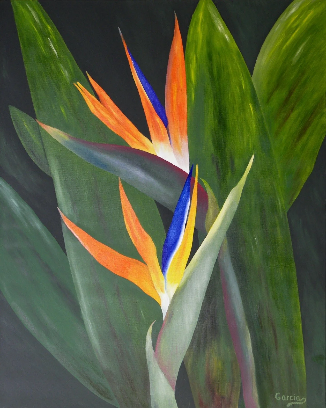 Paradise Heaven 24" x 30"