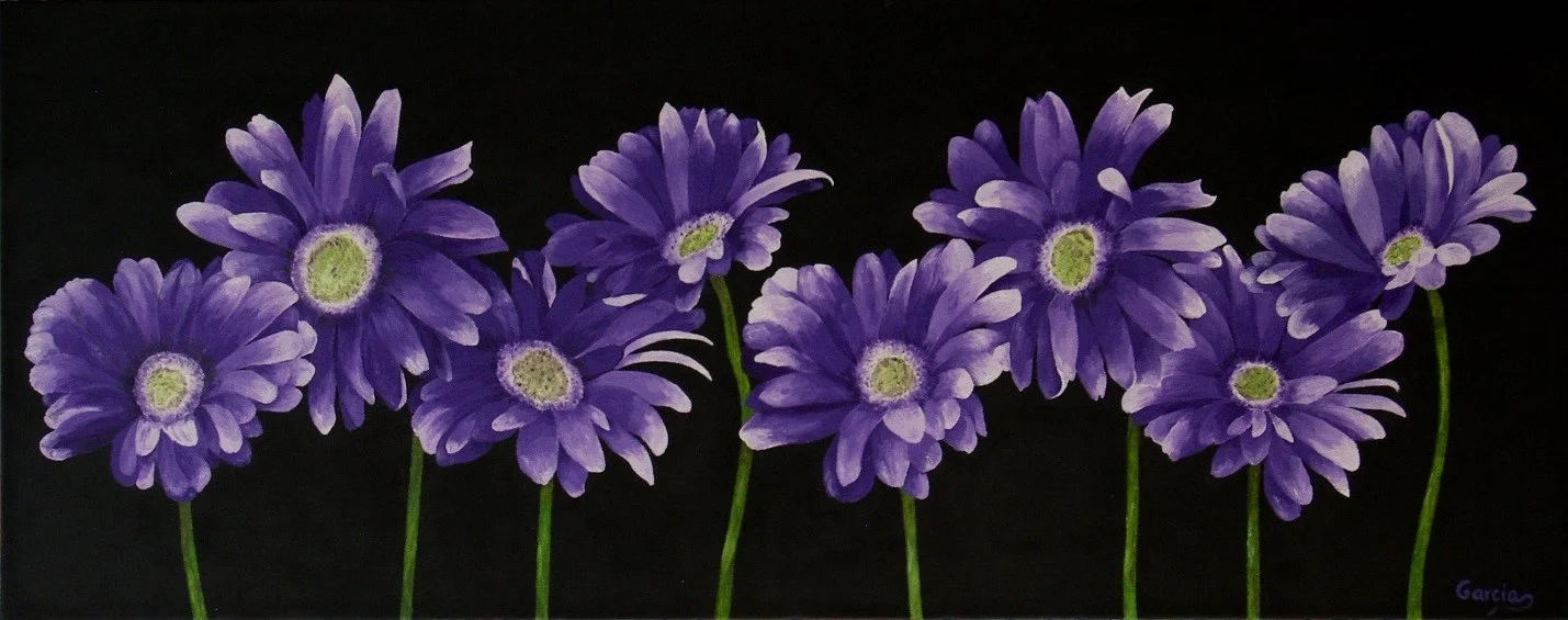Gerbera Line Up 16" x 40"