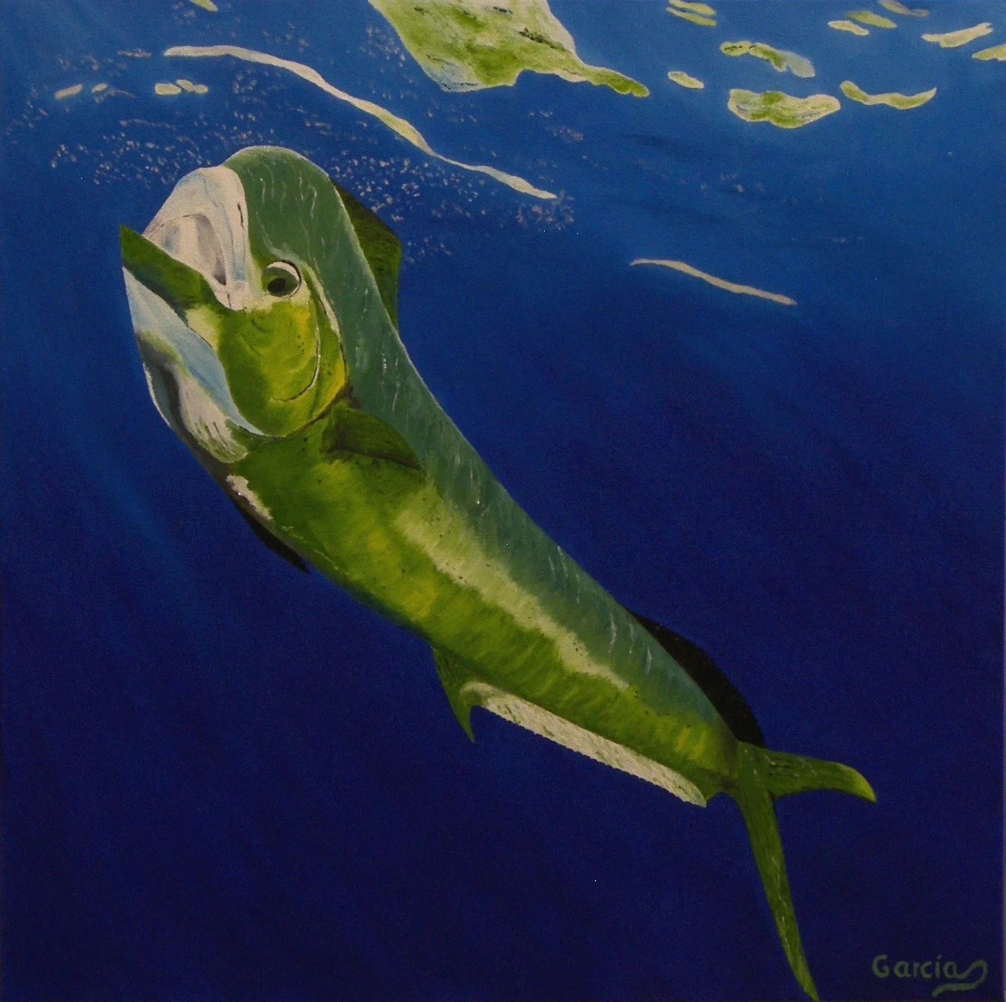 Mahi 20" x 20"