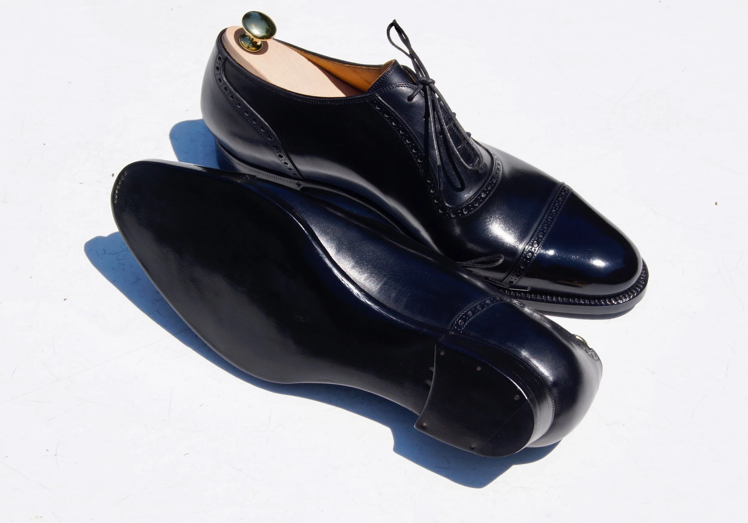 The William - Limited Collection
