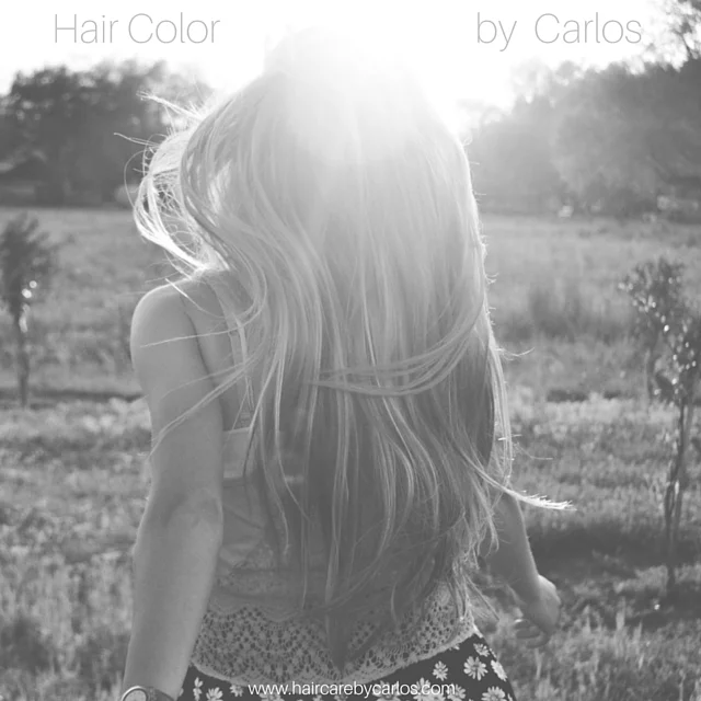 Hair Color by Carlos.jpg