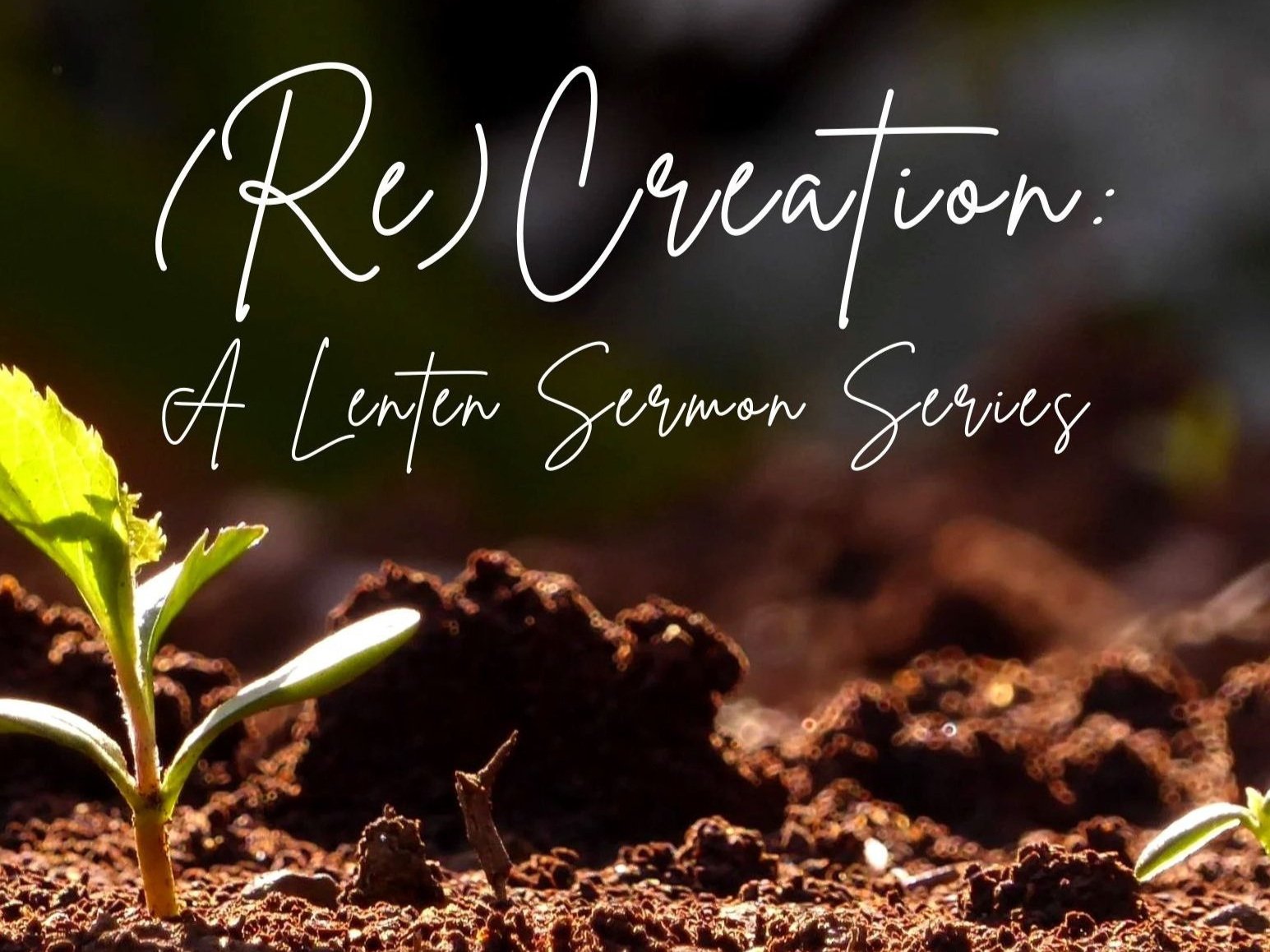 (Re) Creation: A Lenten Sermon Series