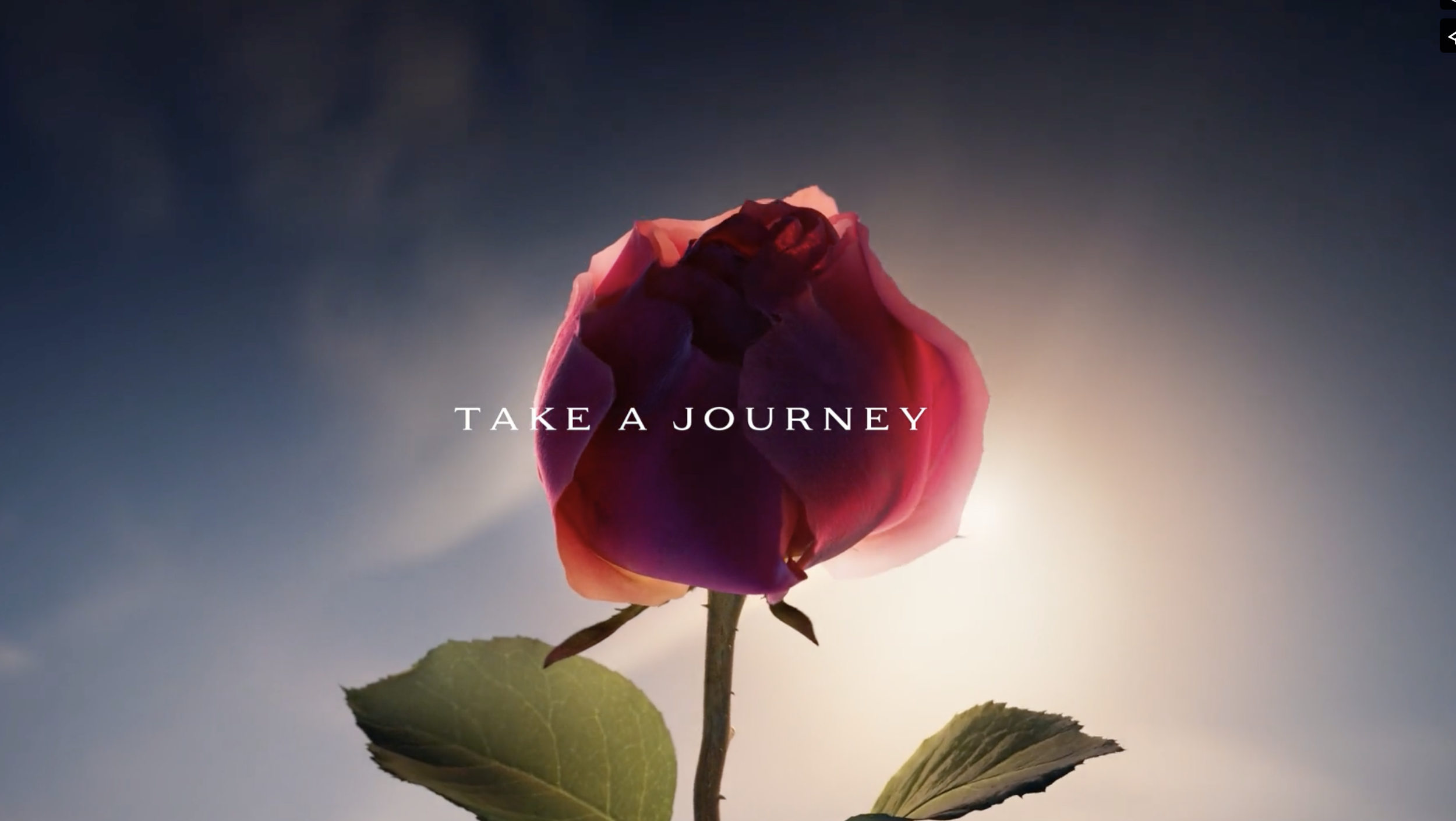 Screenshot 2025-08-08 at 16.10.18.png