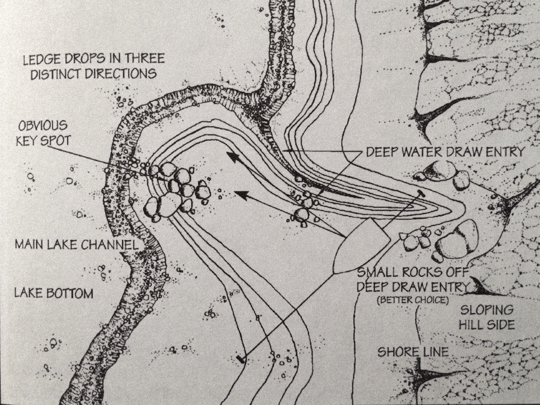 An illustration from Bill Murphy's book " In Pursuit of Giant Bass ". 